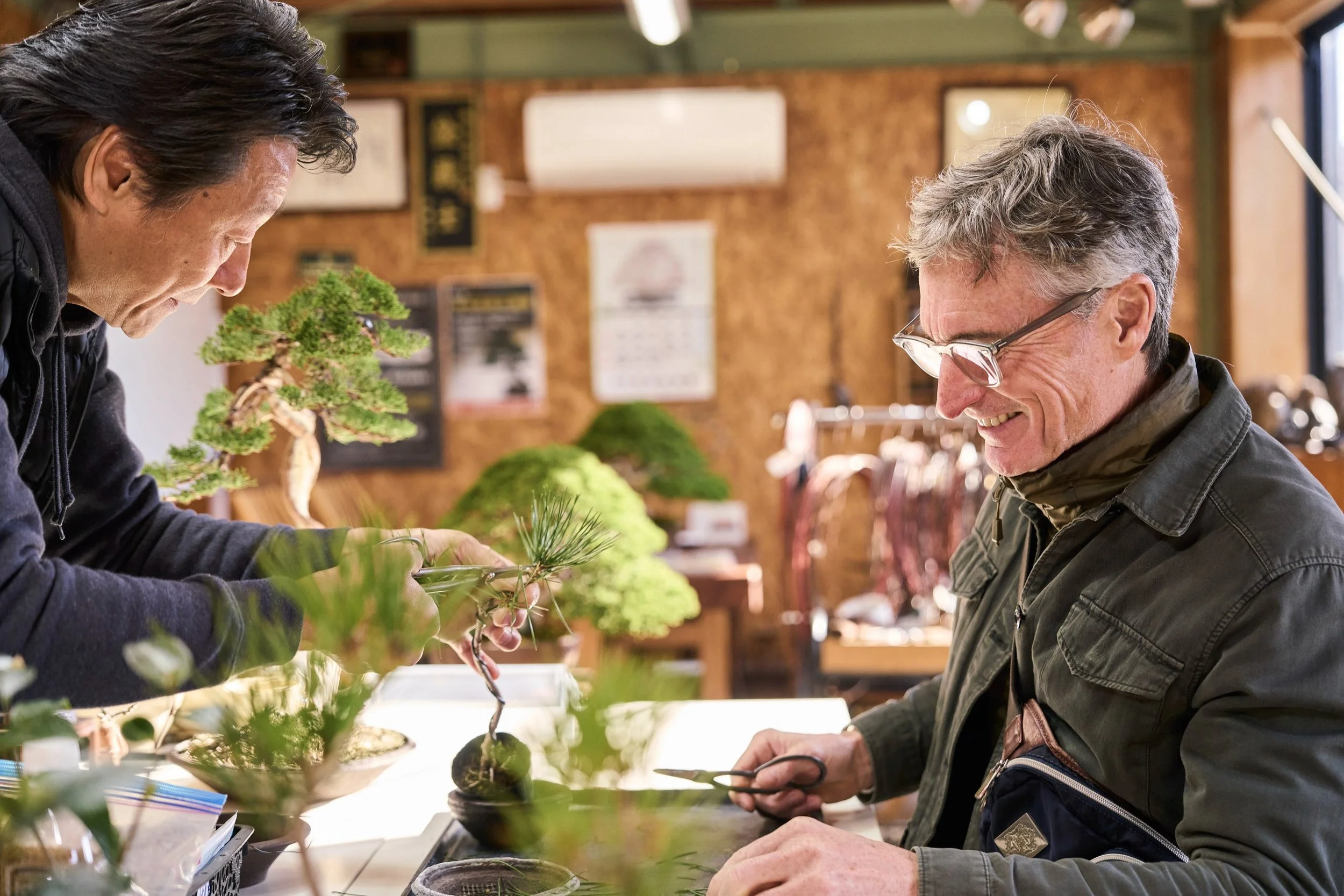 17-FUKUOKA_Bonsai_BonsaiSeihōan_2560px_112.jpg