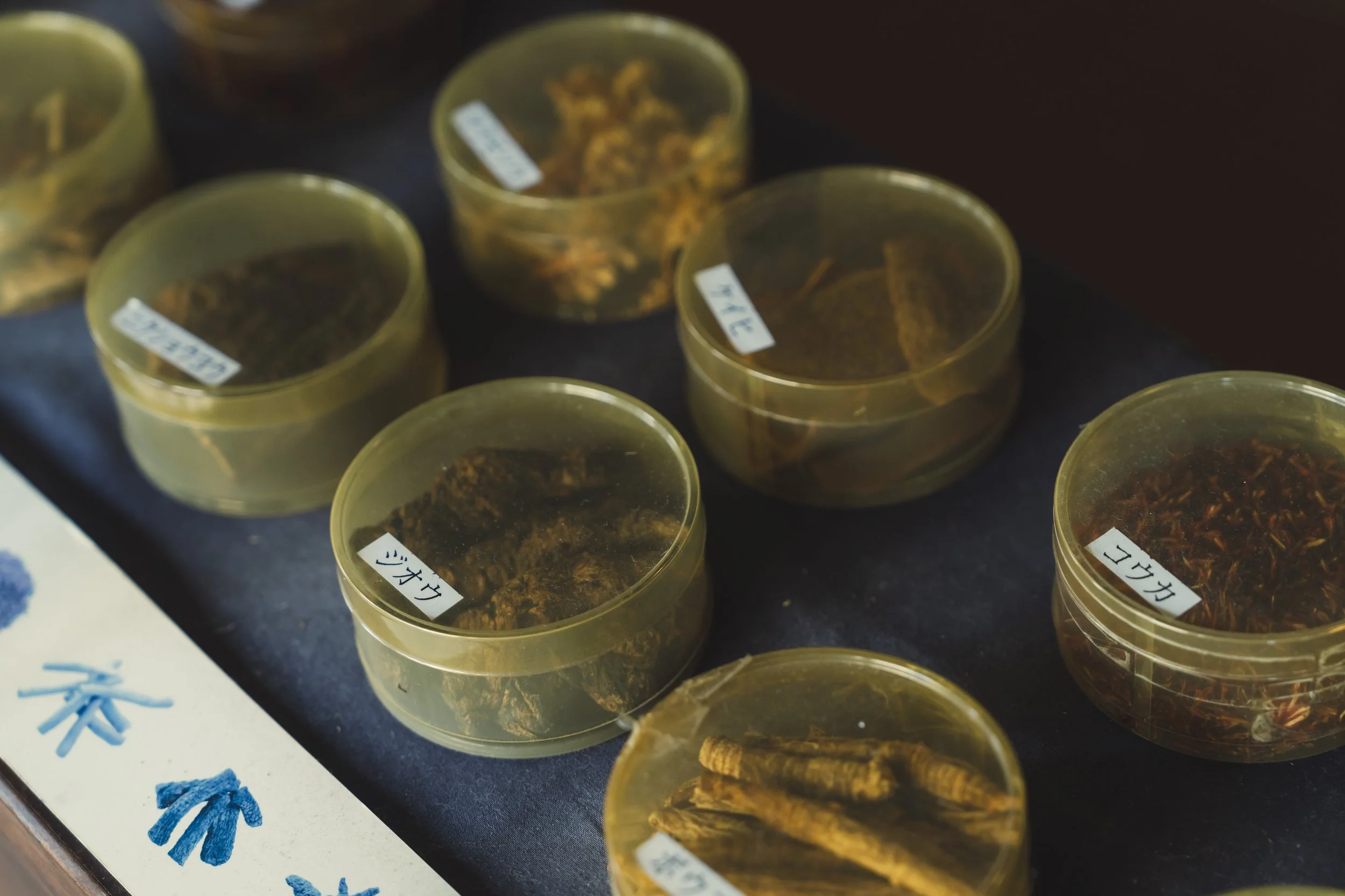 Kanpo Traditional Medicine