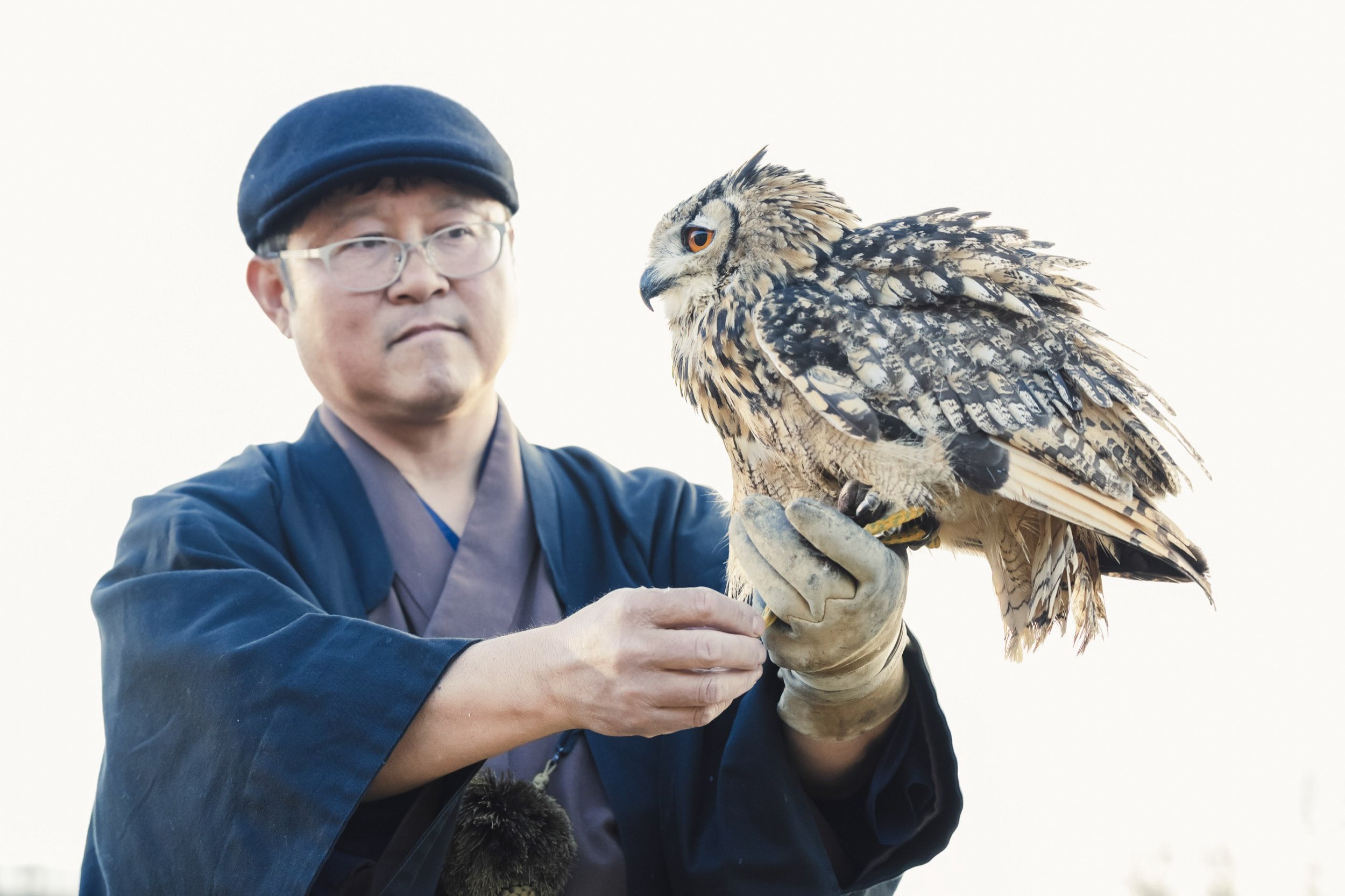 5-KANAZAWA_Falconry_Takamaru_2560px_037.jpg