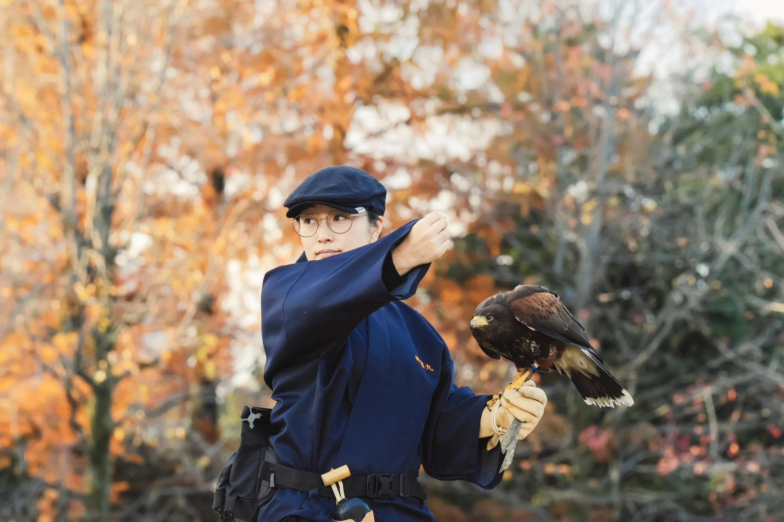 10-KANAZAWA_Falconry_Takamaru_2560px_099.jpg