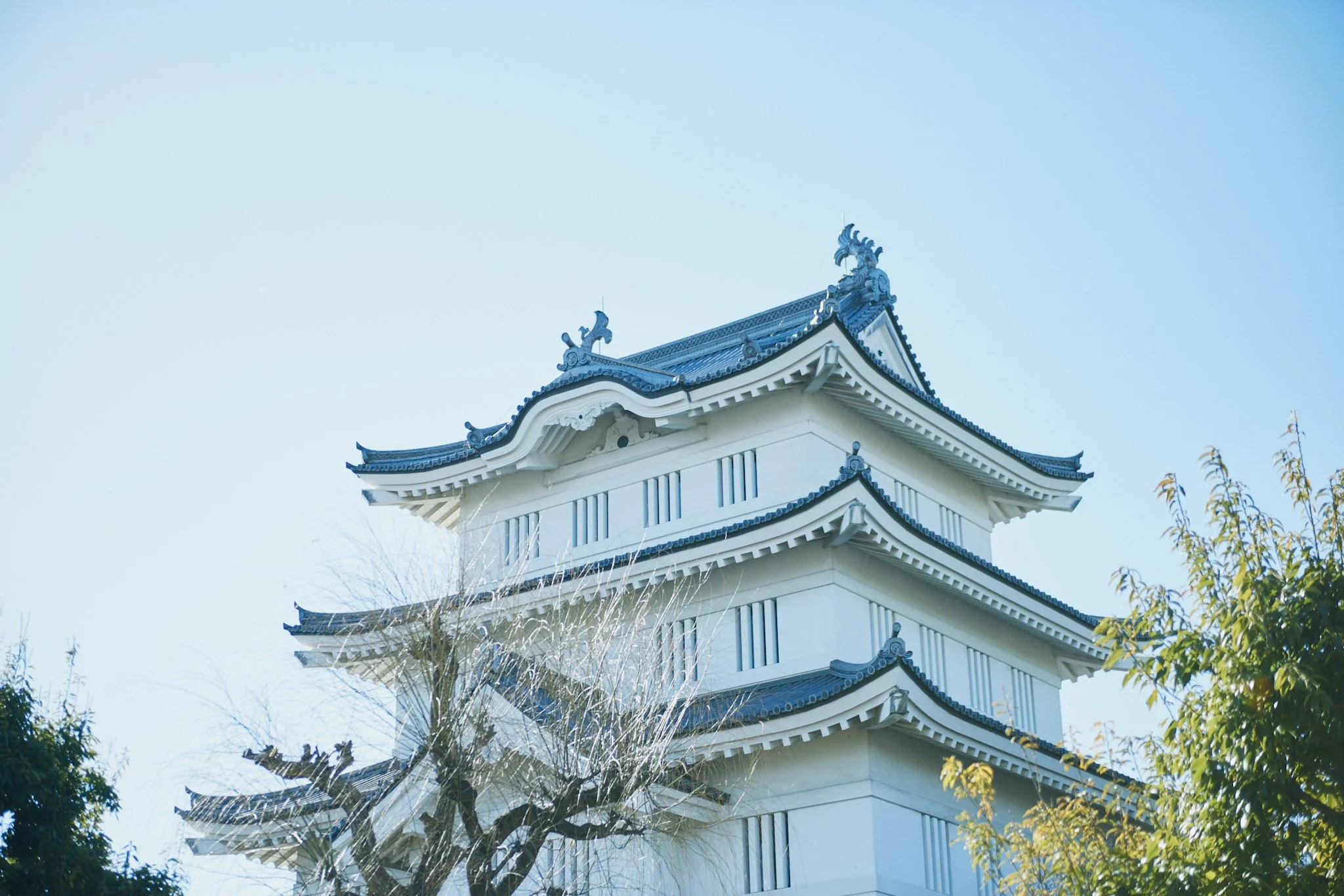 The Shogun's City: How Old Edo Shaped Modern Tokyo