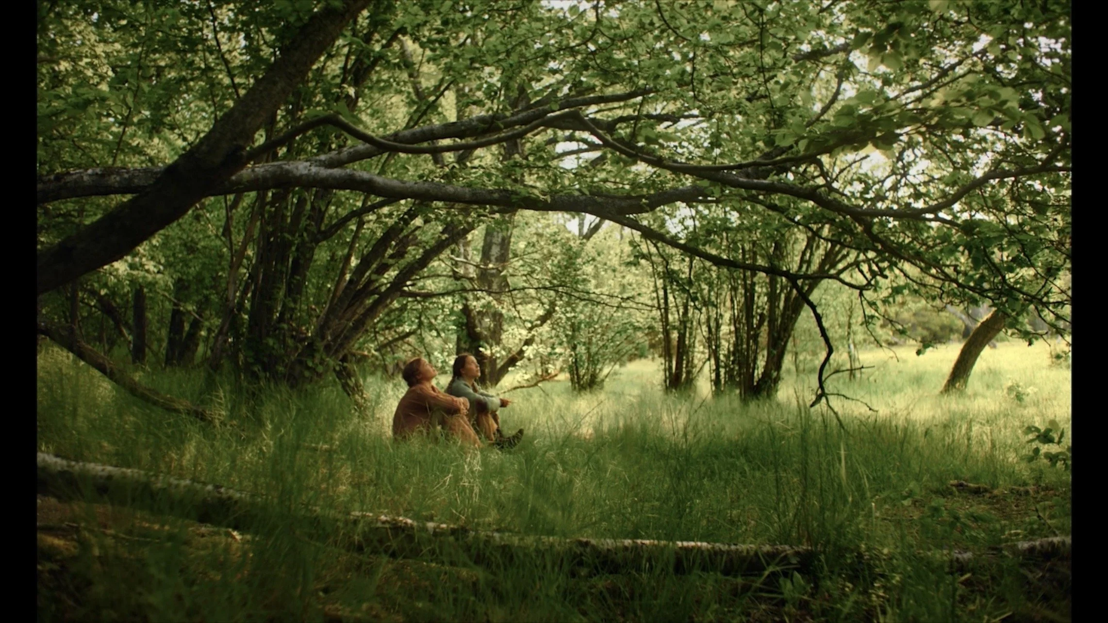 Trailer: ”Tell Everyone”