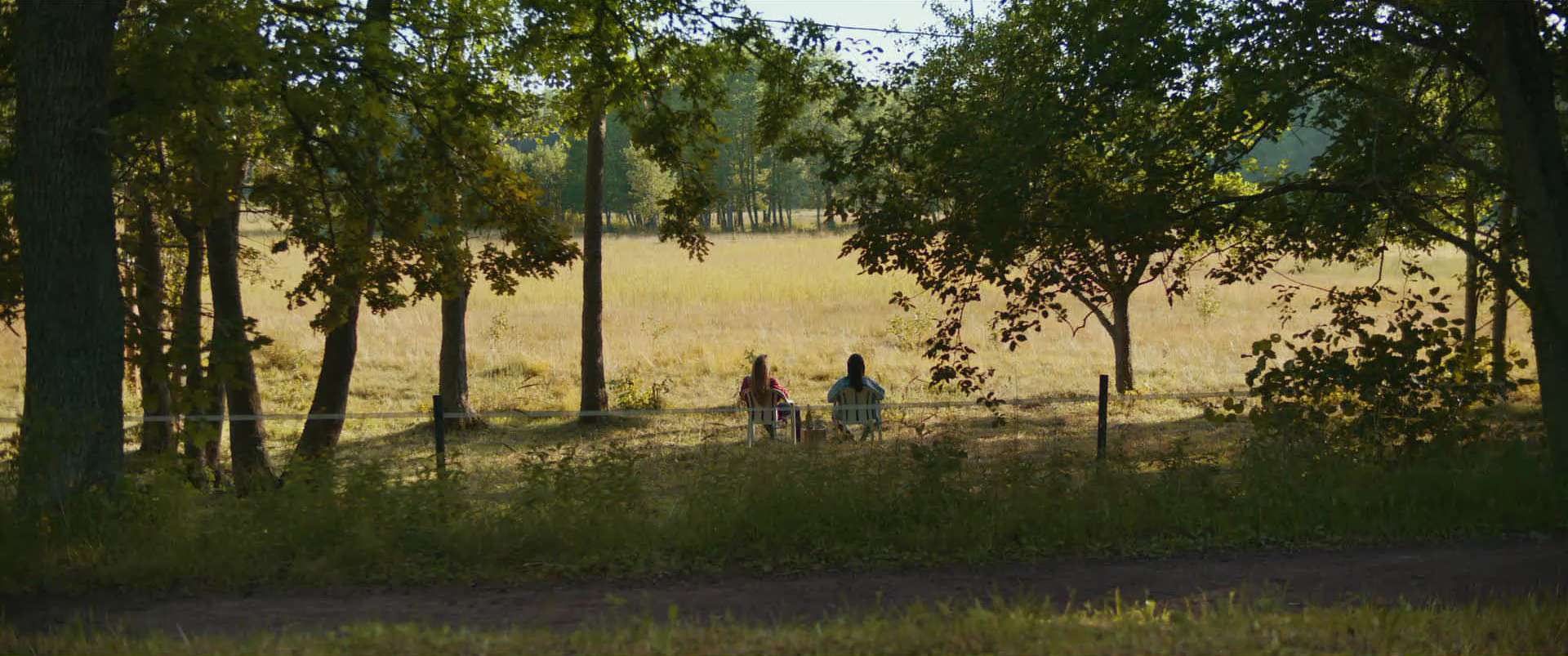 Two people sitting on chairs beside trees in a grassy field enclosed by a fence, with dense trees in the background.