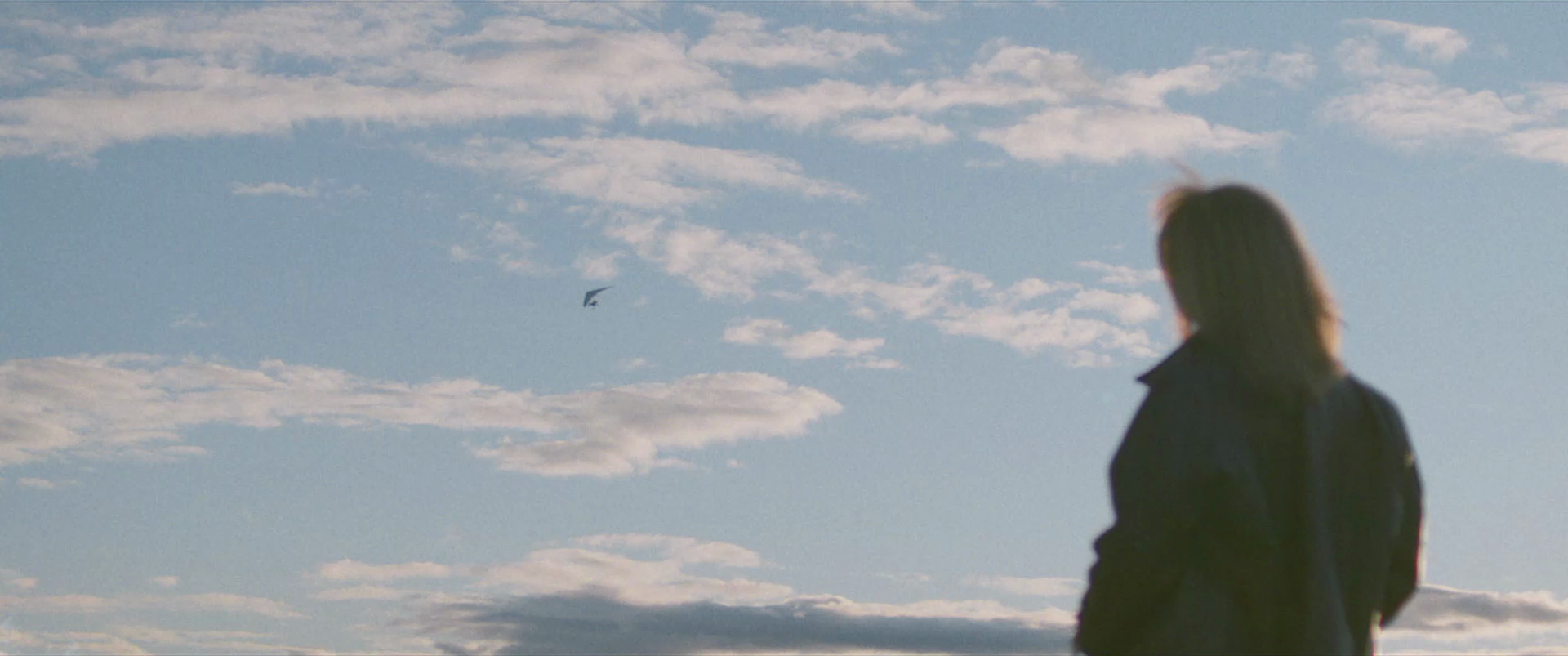 A person with shoulder-length hair wearing a dark jacket looking towards the sky, with clouds and a bird flying in the background.
