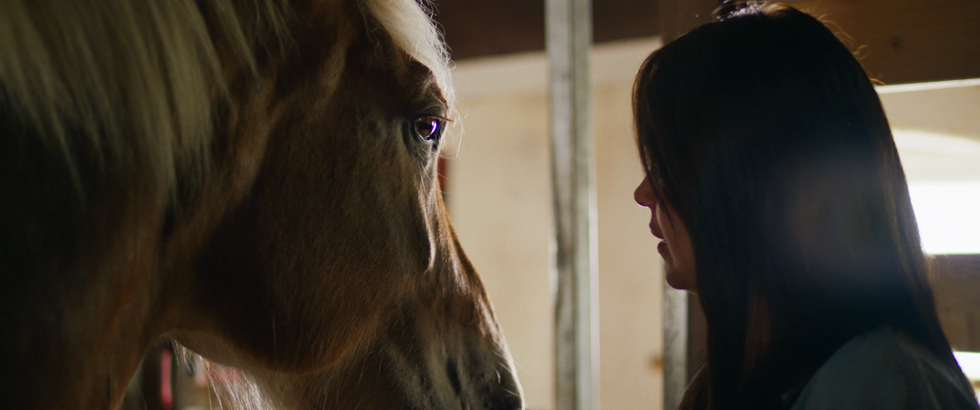 A woman and a horse face each other closely inside a stable, with the horse's face close to the woman's face, both appearing calm and focused.