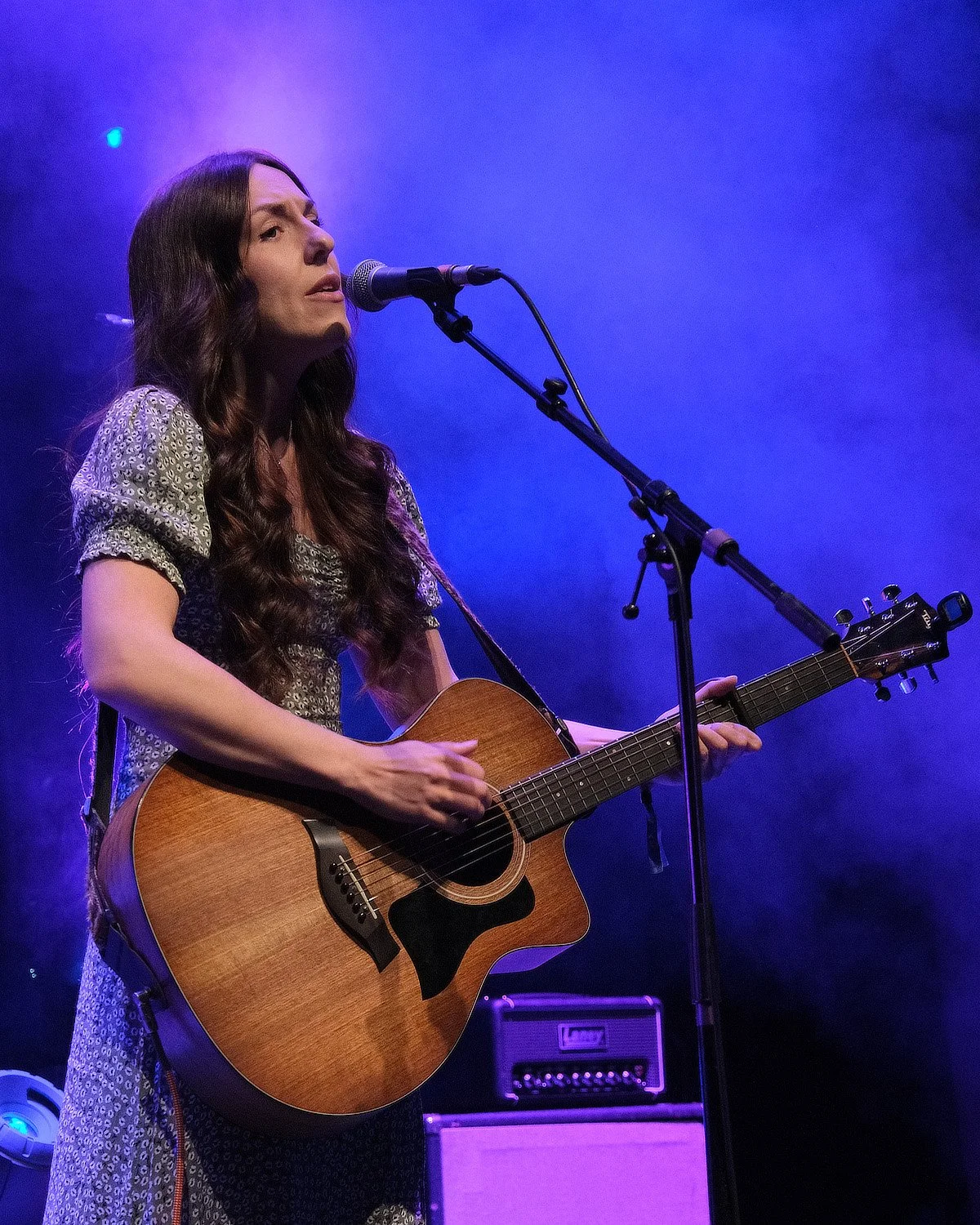 True Foxes at Theatre Severn