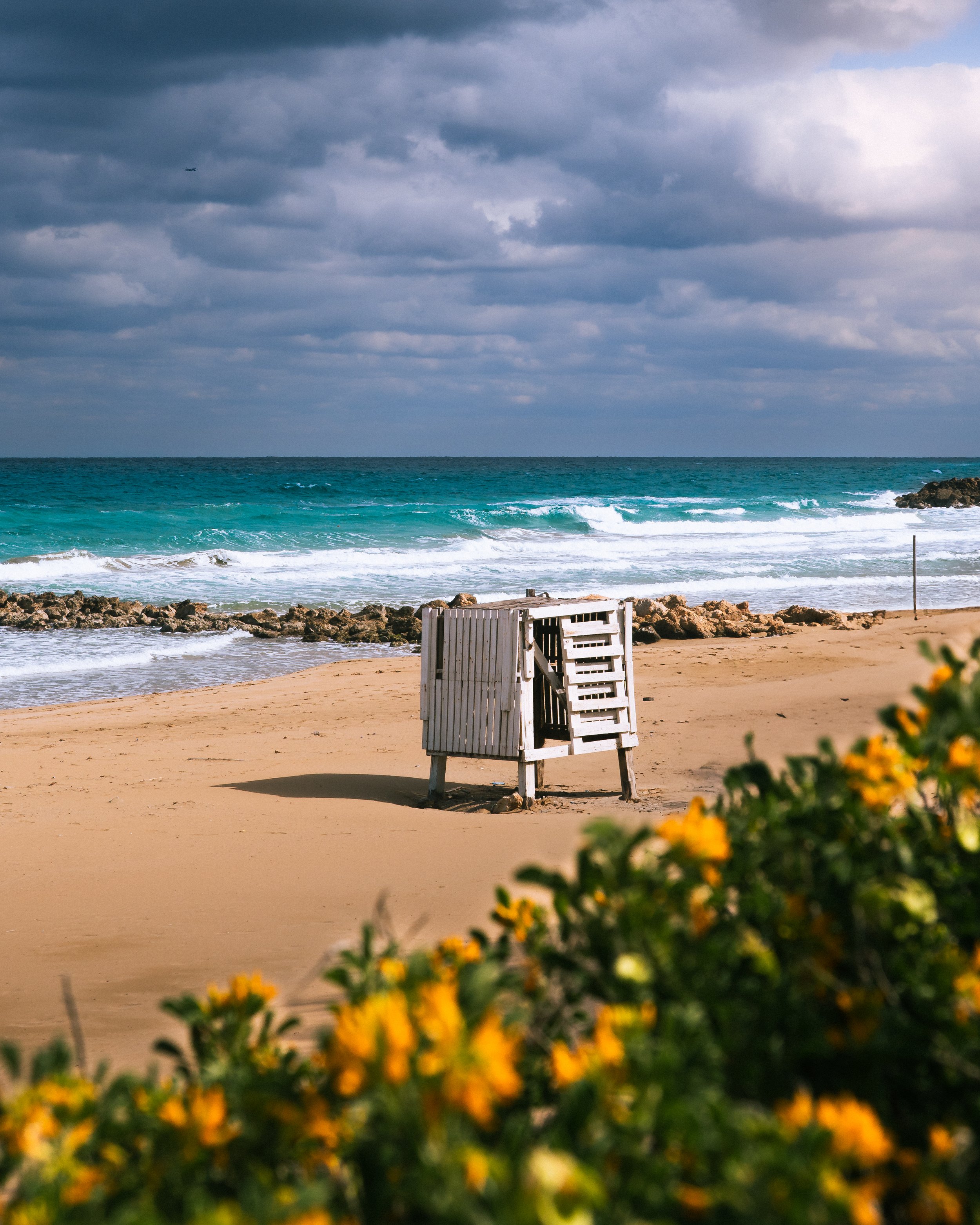 Yellow flowers in front of a beach lifeguard stand and ocean waves.