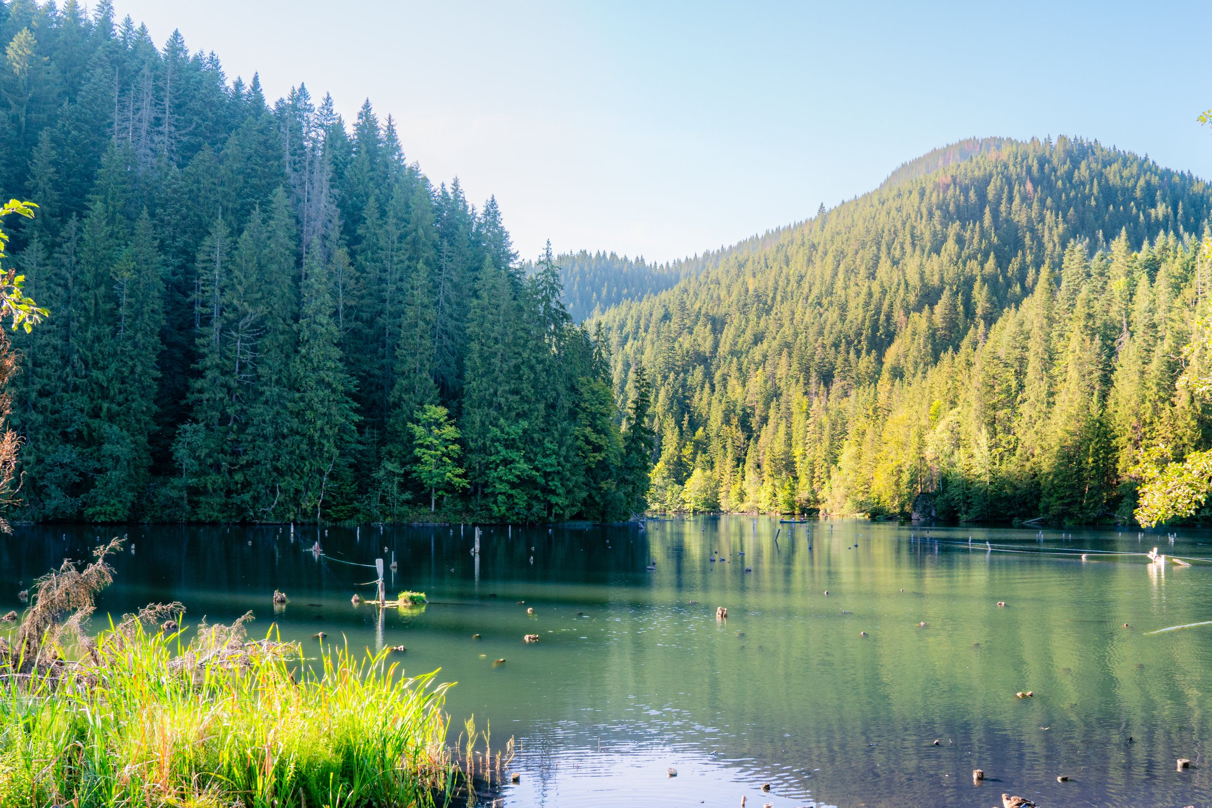A lake surrounded by hills and tall evergreen trees.
