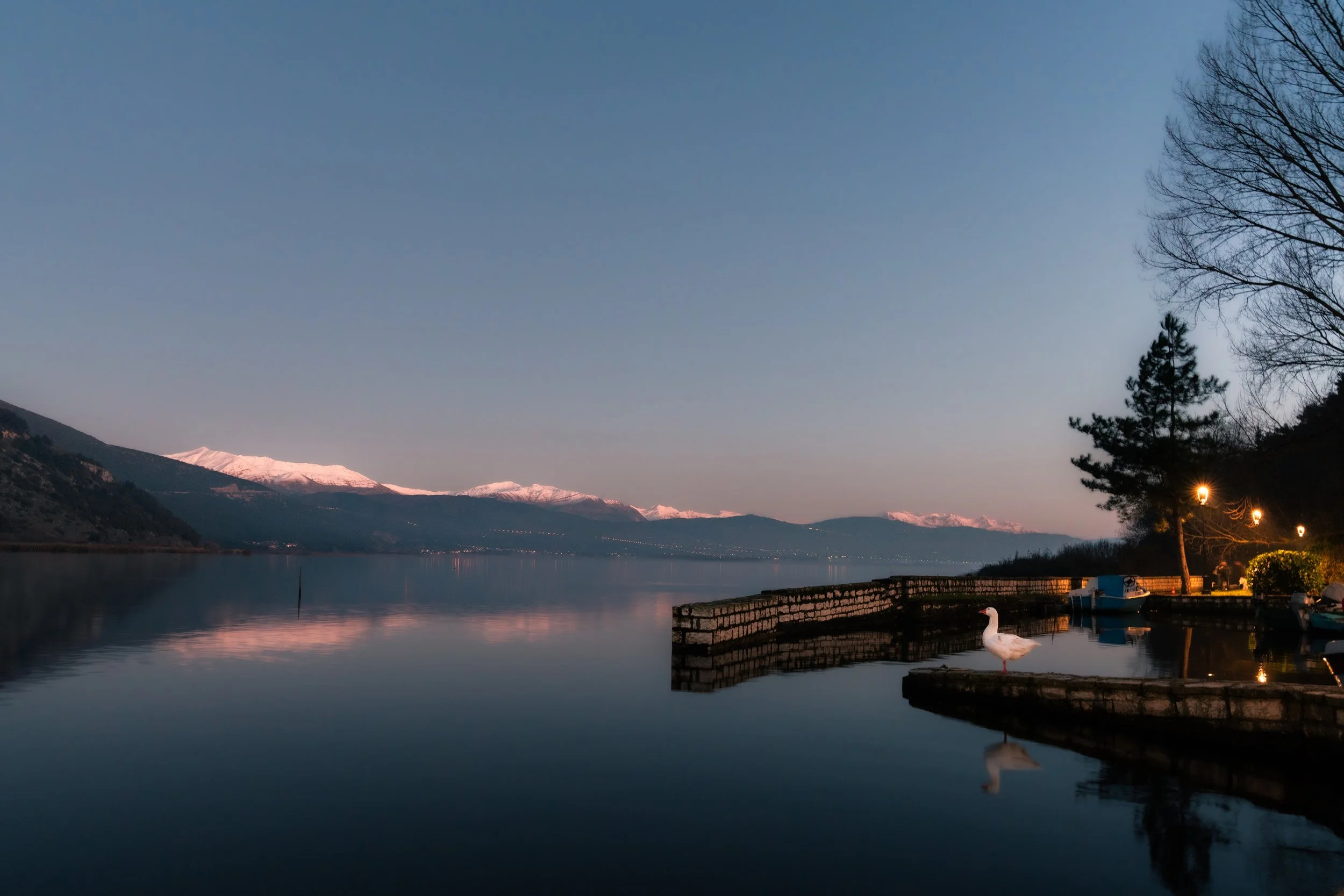 Calm lake with snow-capped mountains in the background, trees on the right, swan in the water, and a row of streetlights along the shore at dusk.