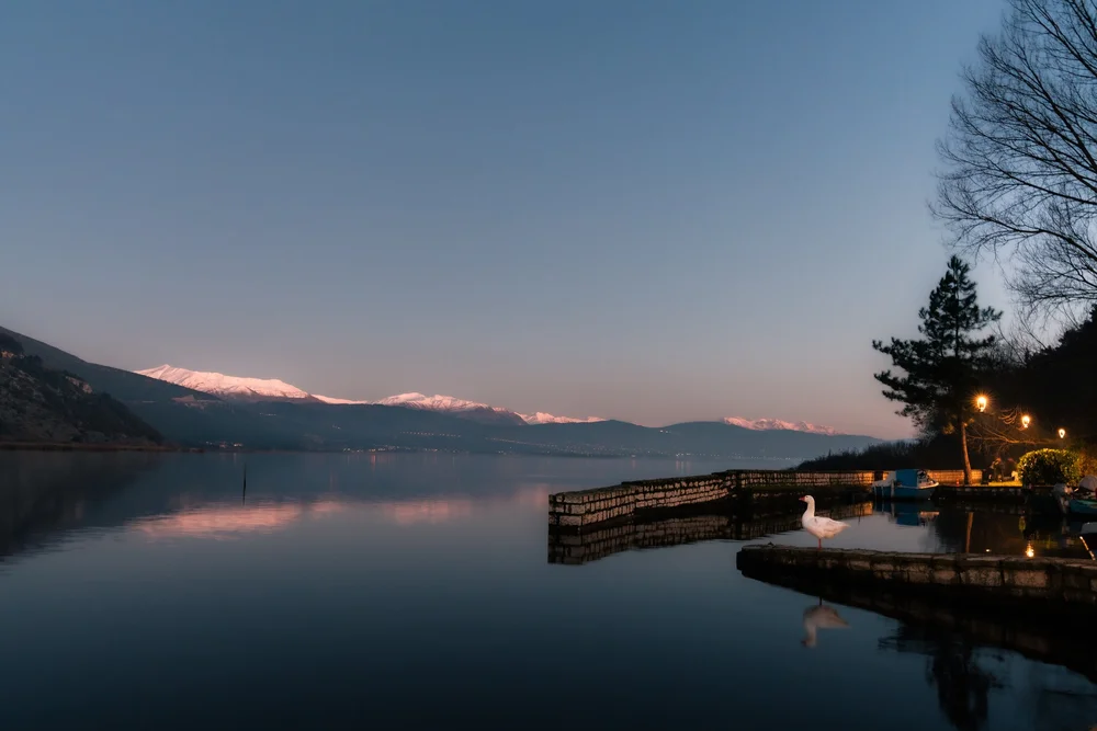 A swan on a calm lake beside a lit promenade, with snowy mountains beyond.