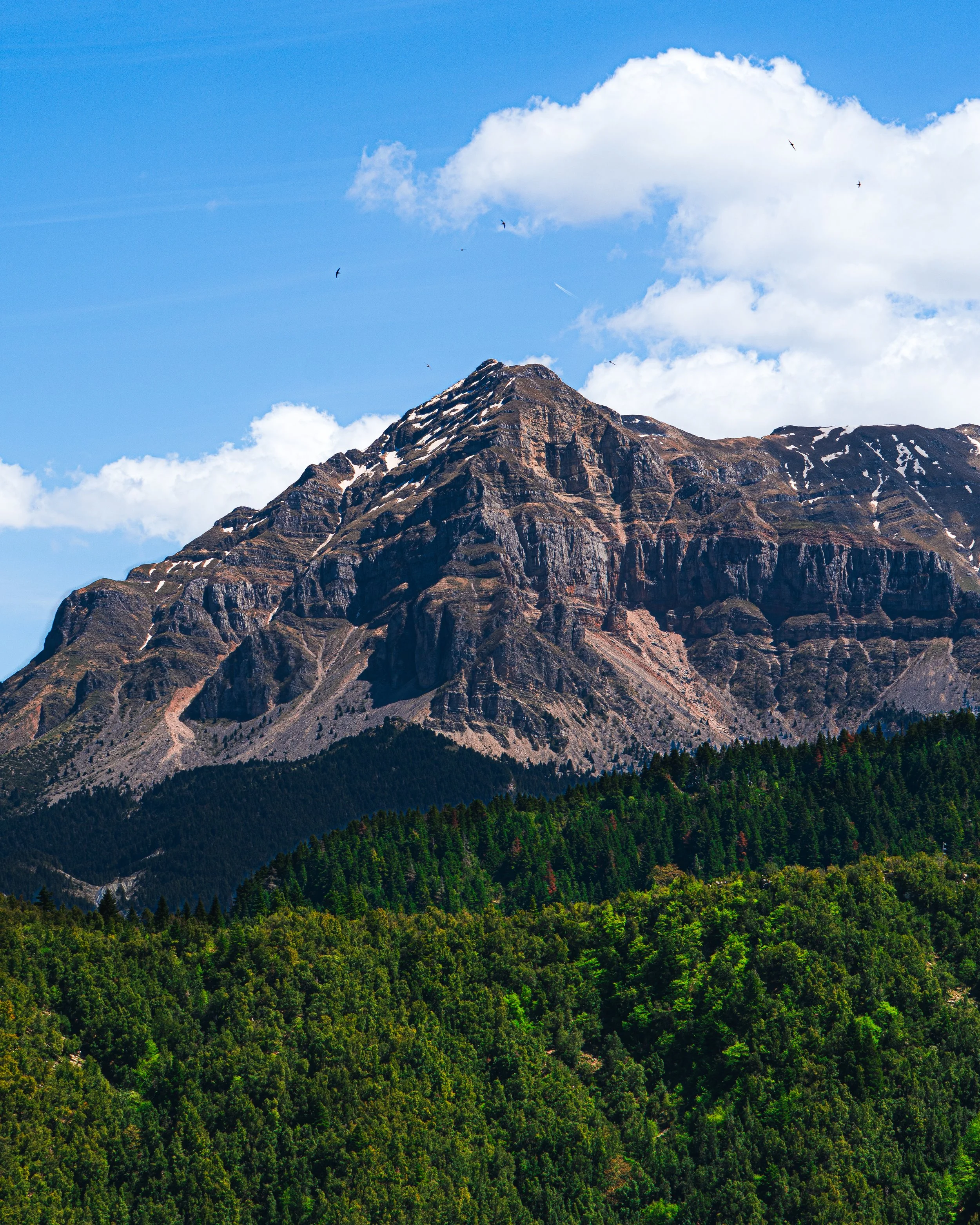 A rocky mountain peak above green forest beneath blue sky and clouds.