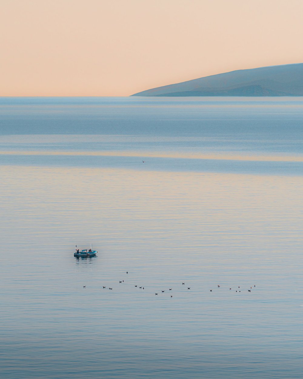 A small boat and birds on calm water with mountains beneath a pastel sky.
