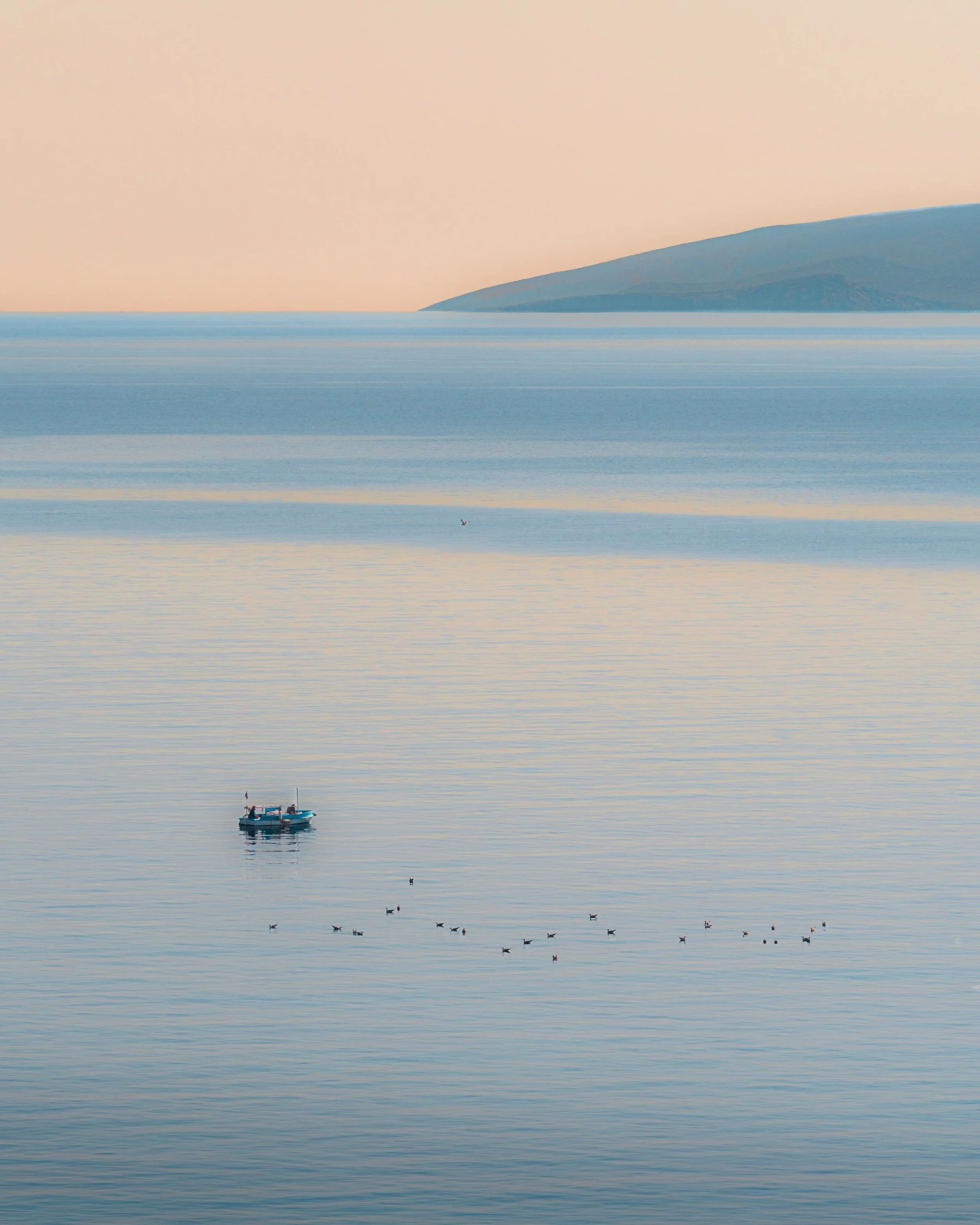 A small boat and birds on calm water with mountains beneath a pastel sky.