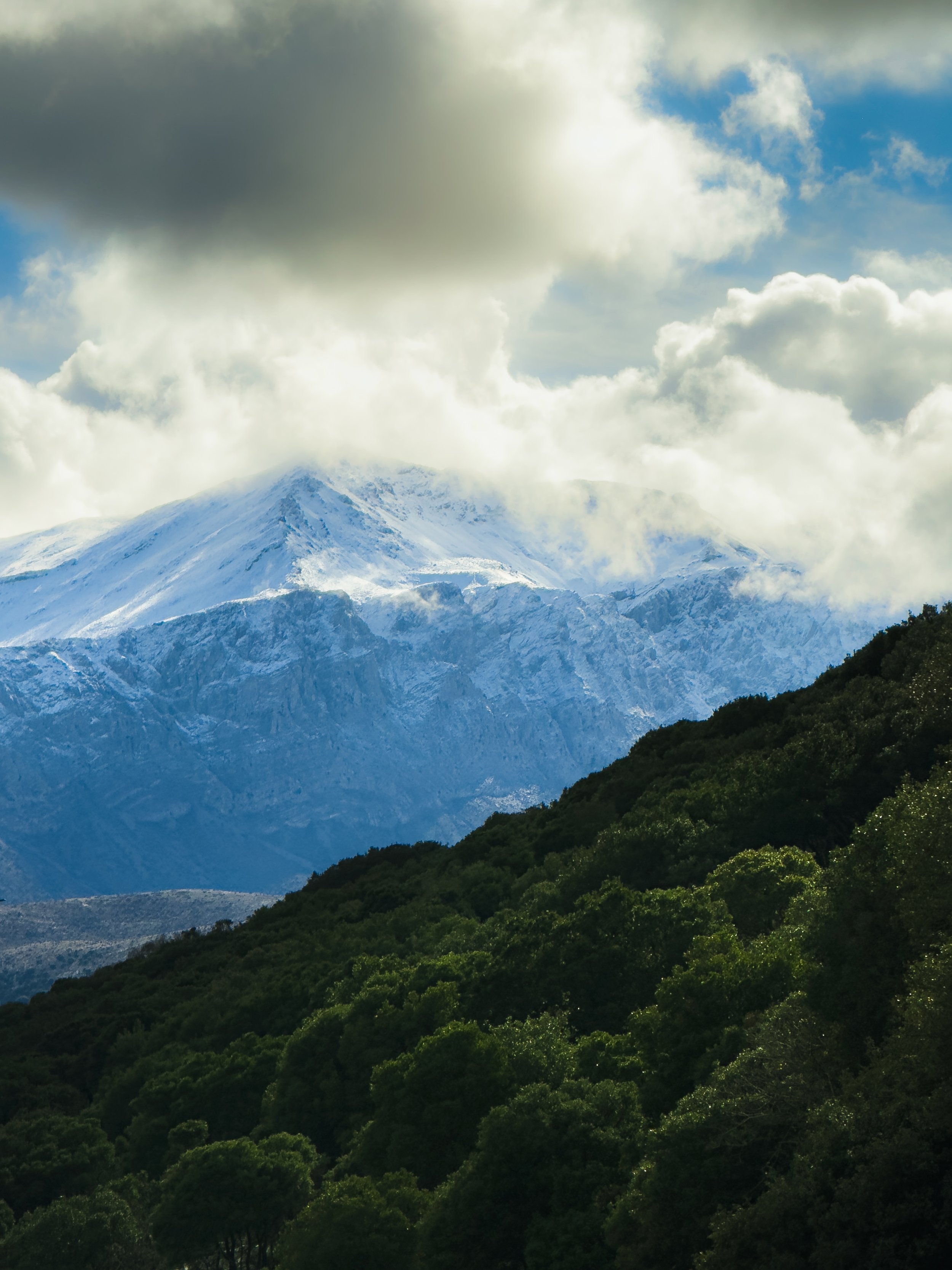 Snow-capped mountain peaks above a green forested hillside.