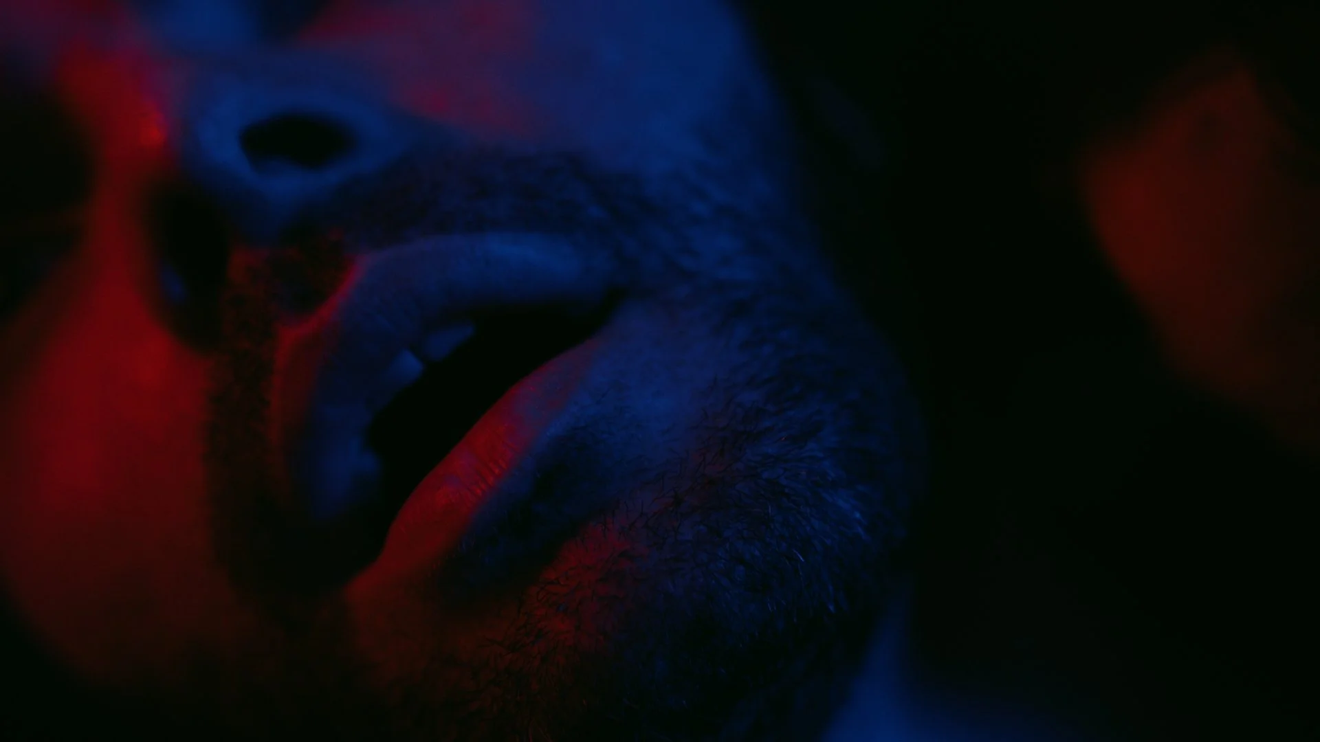 Midnight Perturbation - Music Video (2024)