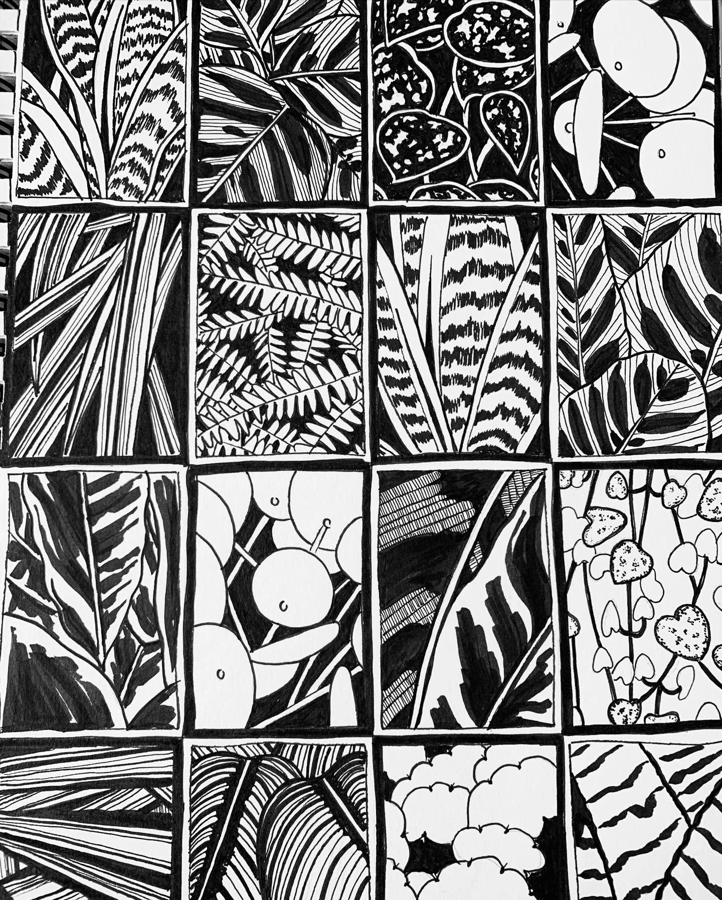 Sketchbook study of my houseplants. I figured if I can&rsquo;t keep them alive I should draw them before they die! ha ha