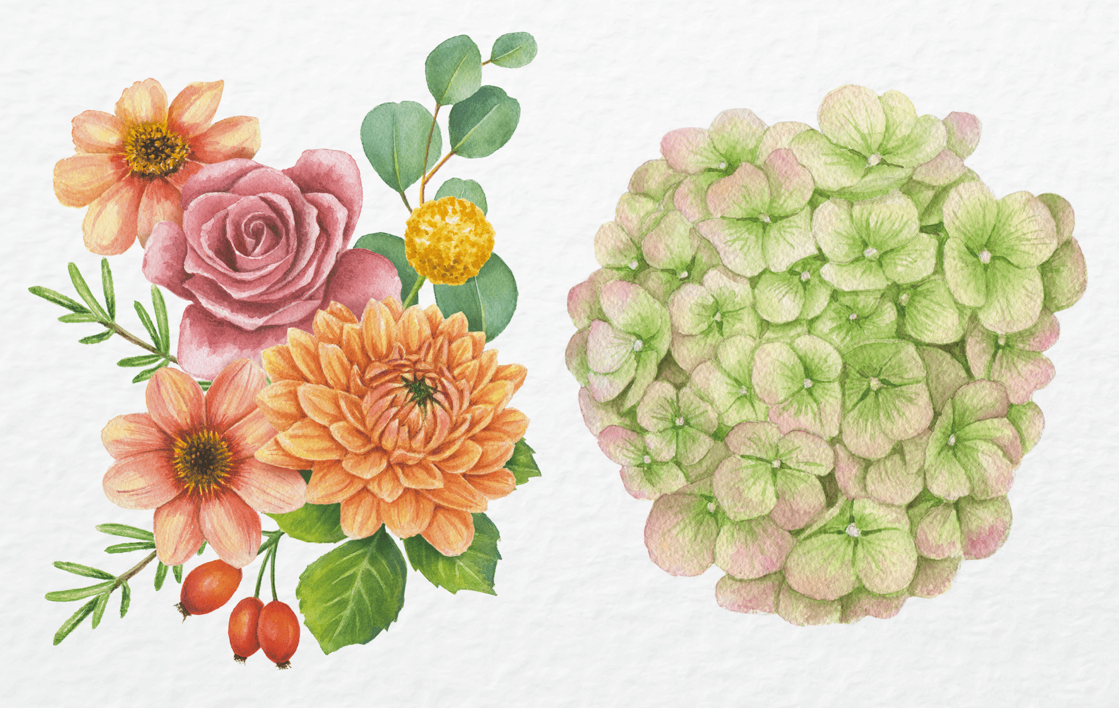 Watercolour painting of various flowers and foliage, including roses, dahlias, and hydrangeas.