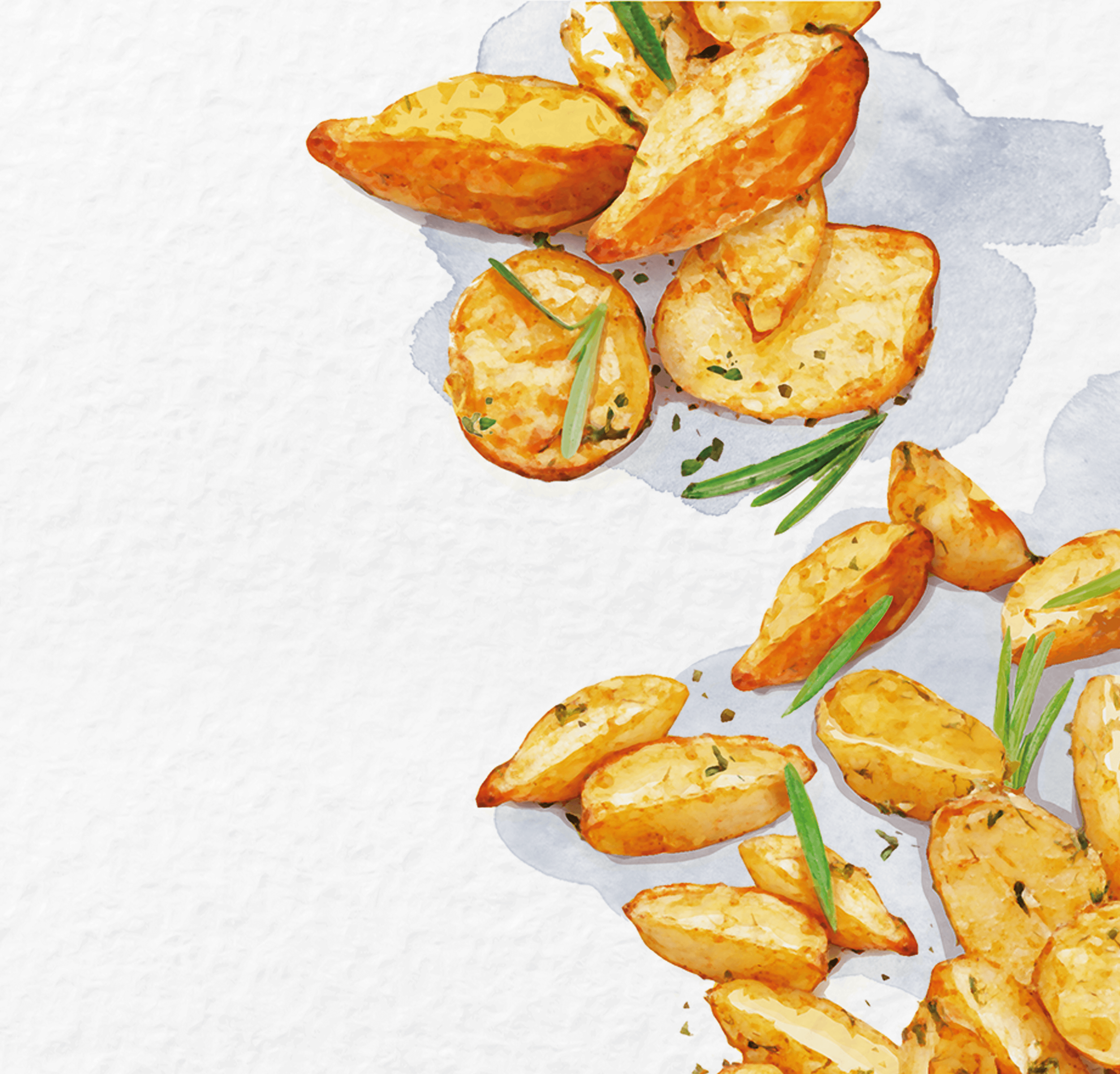Watercolor painting of potato wedges garnished with rosemary on white background.