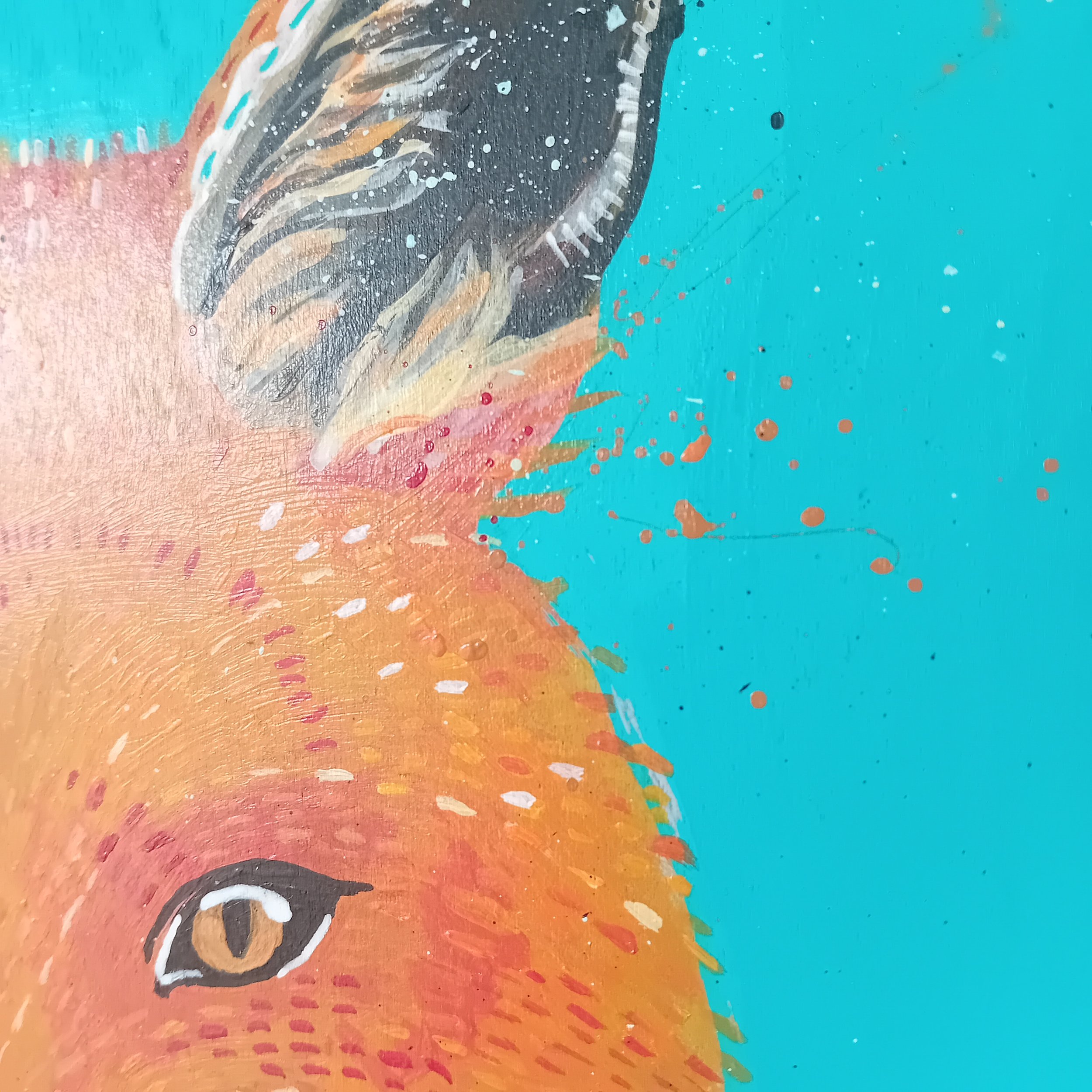 fox ear.jpg