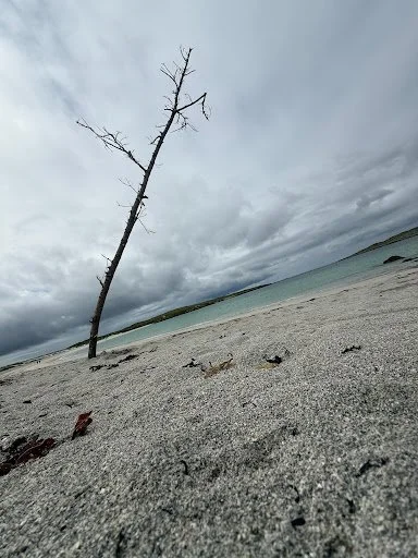 Clifden-White-Sand-Beach-Coastline.jpg