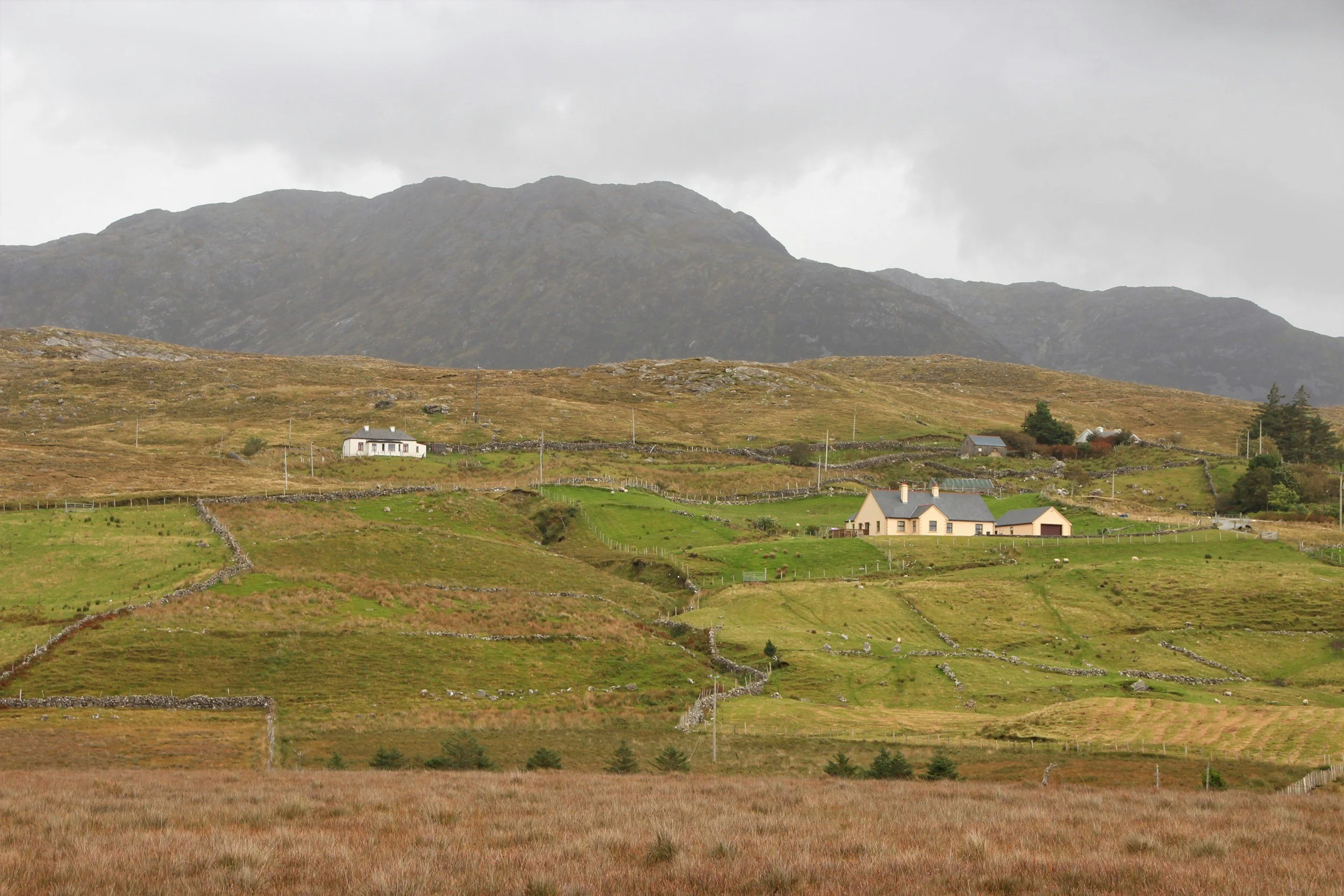 How Long Does It Take to Buy a House in Ireland?