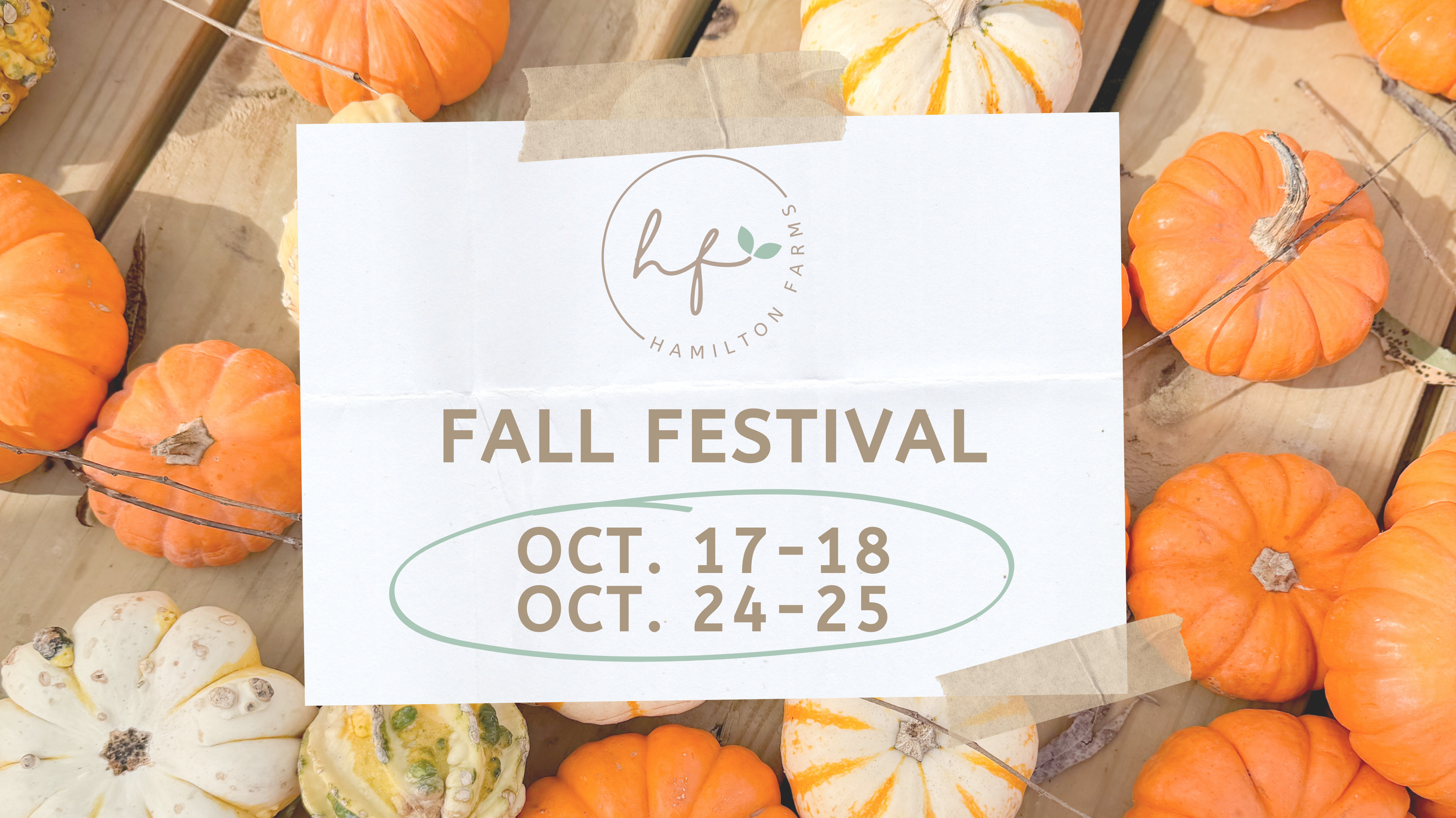 Fall Festival