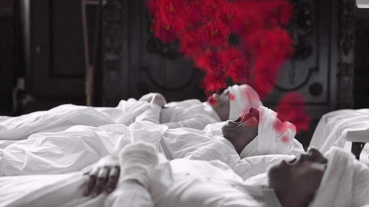 Alice Nelson Films War Letters