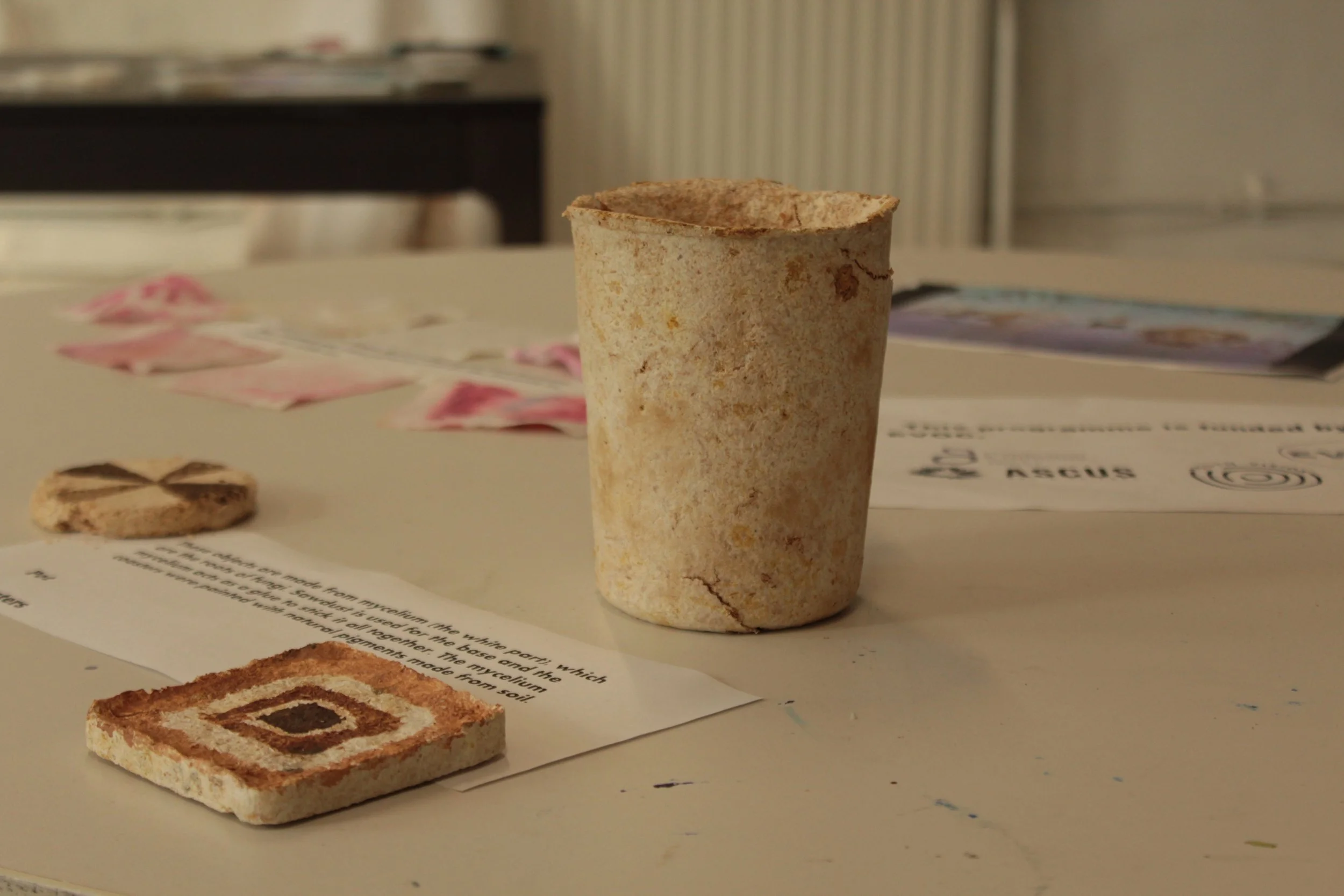 Fungi sculptures.JPG