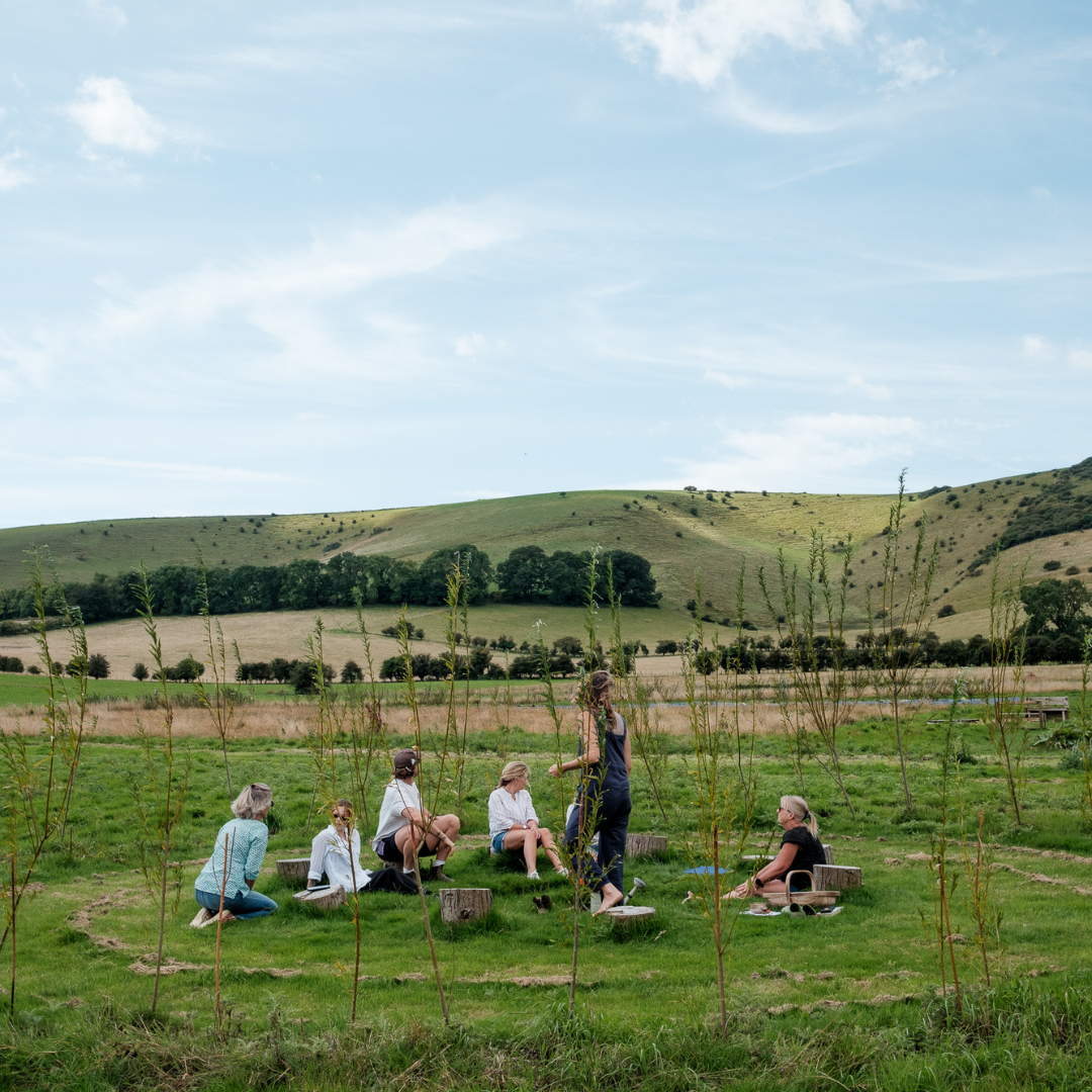 Yoga And Sauna Sunday - Spring Equinox