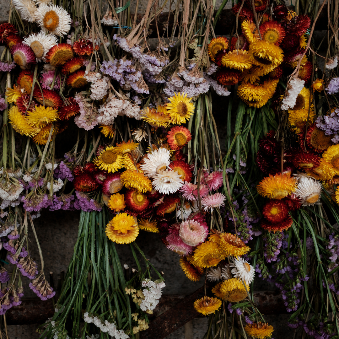 Yoga And Sauna Sunday - Spring Equinox