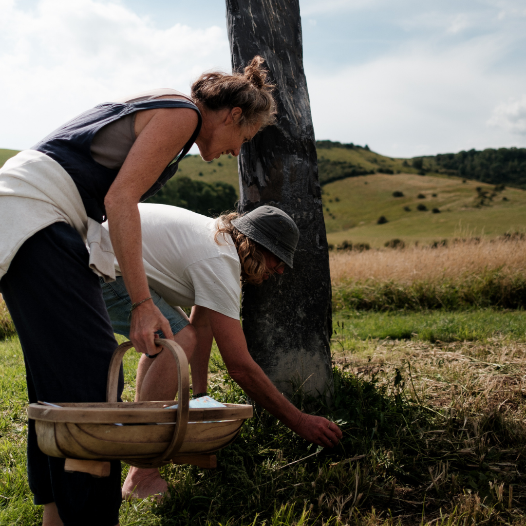 Weekend Wellness Camp at Lovebrook