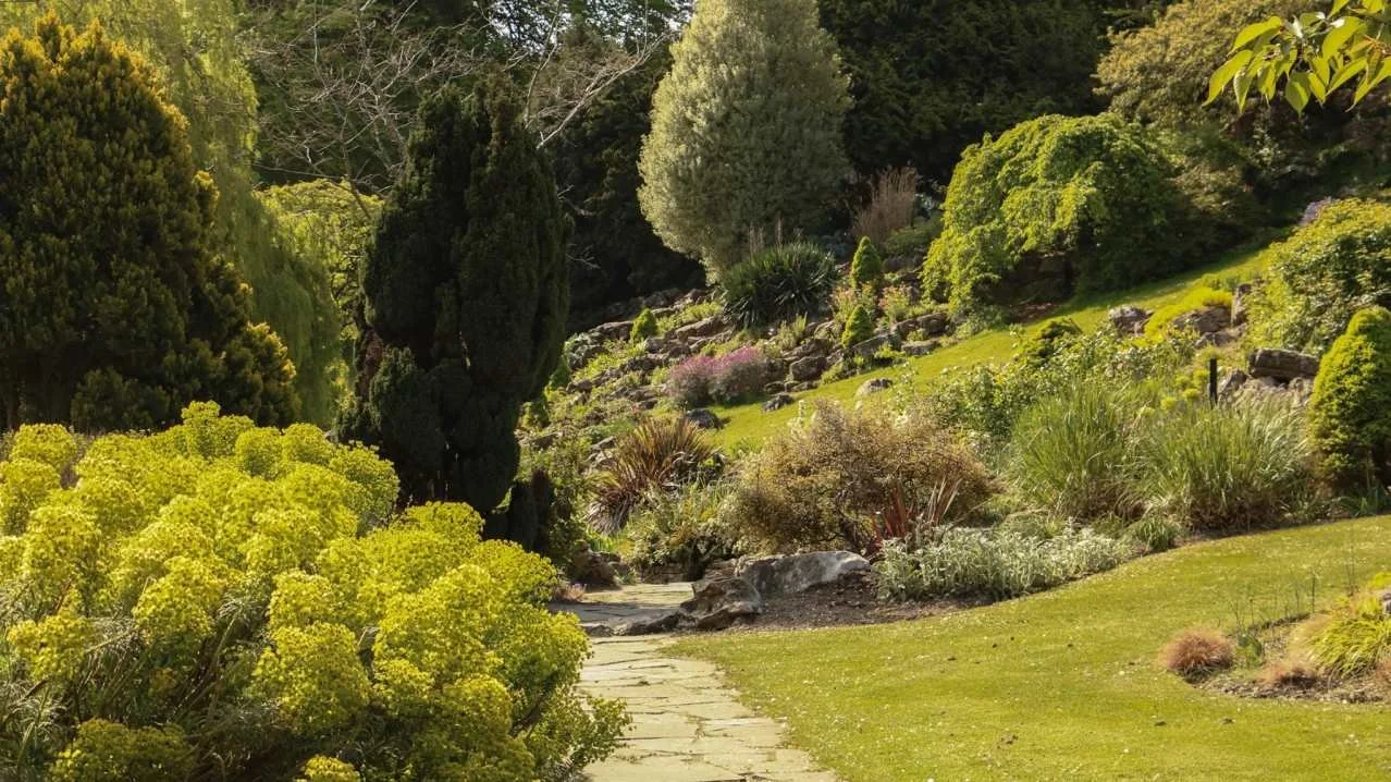 Wild Purpose Cross-generational Connection Walk