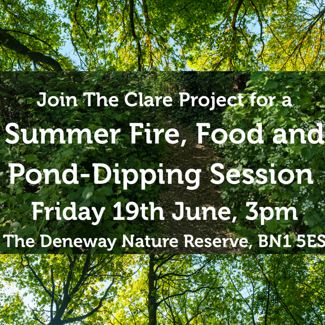 Summer Fire, Food and Pond-Dipping with The Clare Project