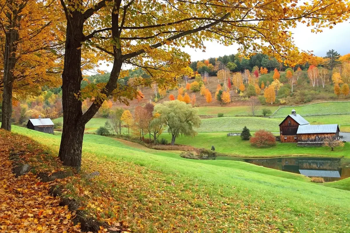 Birch Hill Farm - Vermont