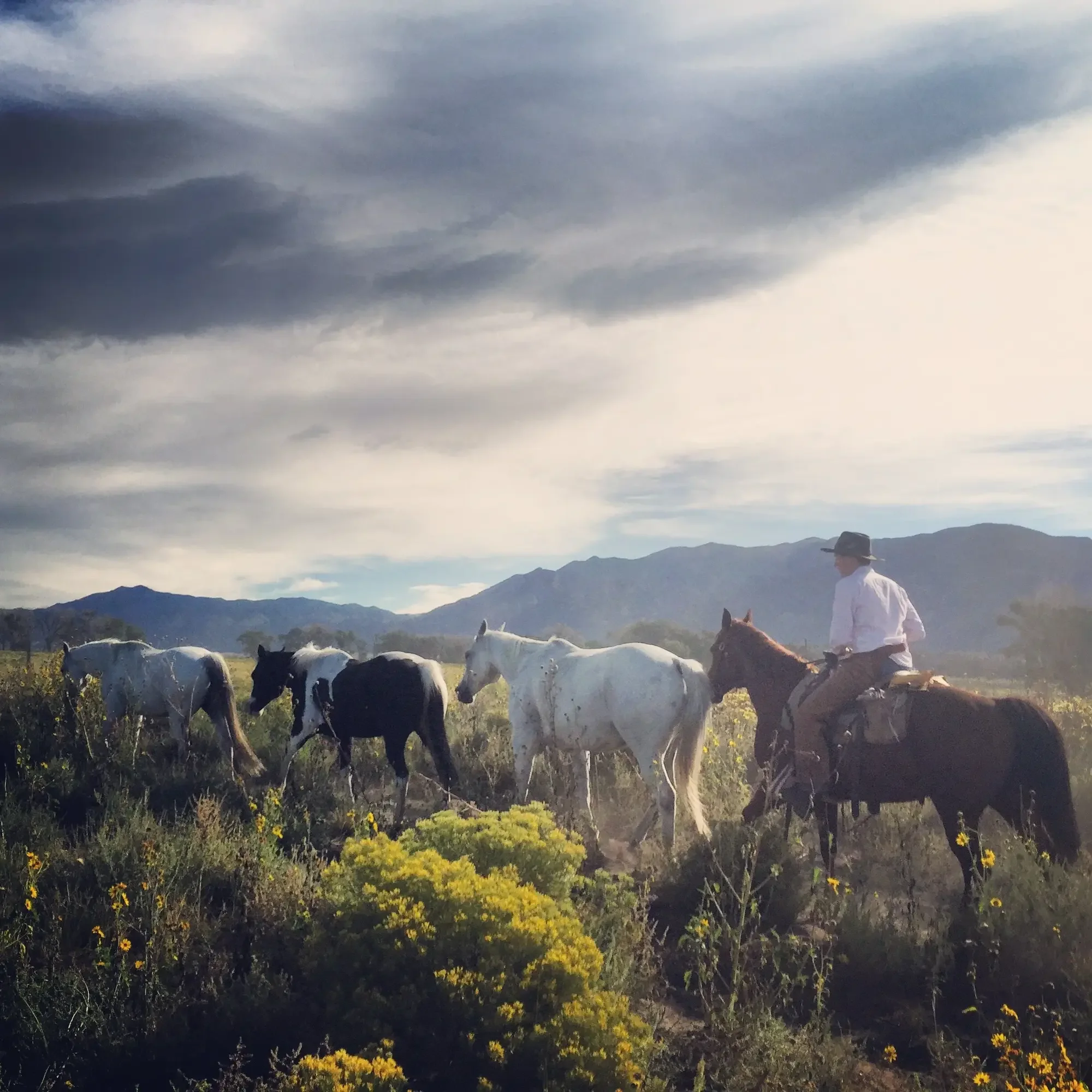 ranches and international clients of rural maps