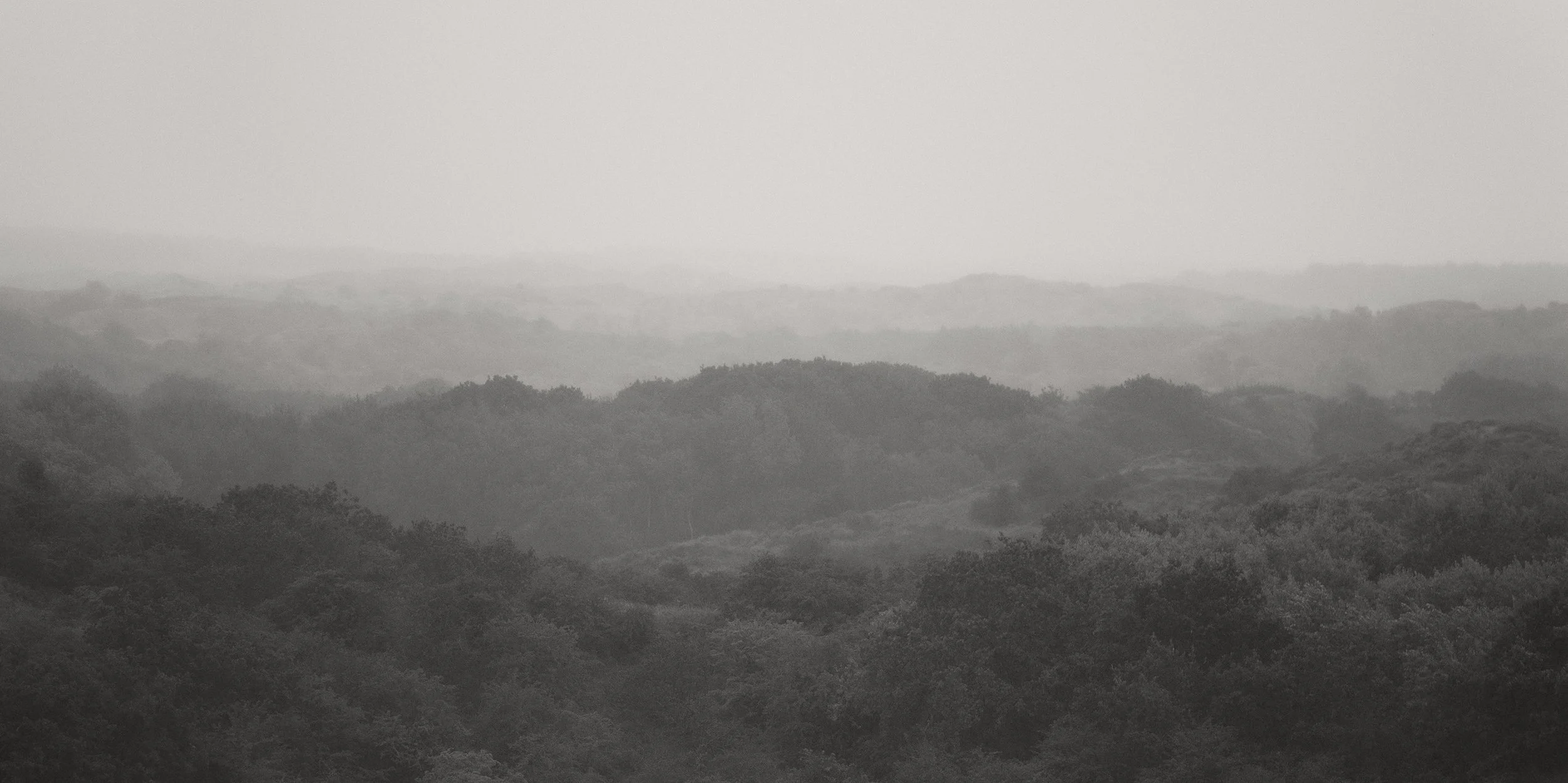 Duin_DSF6559-warm ZW_3.jpg