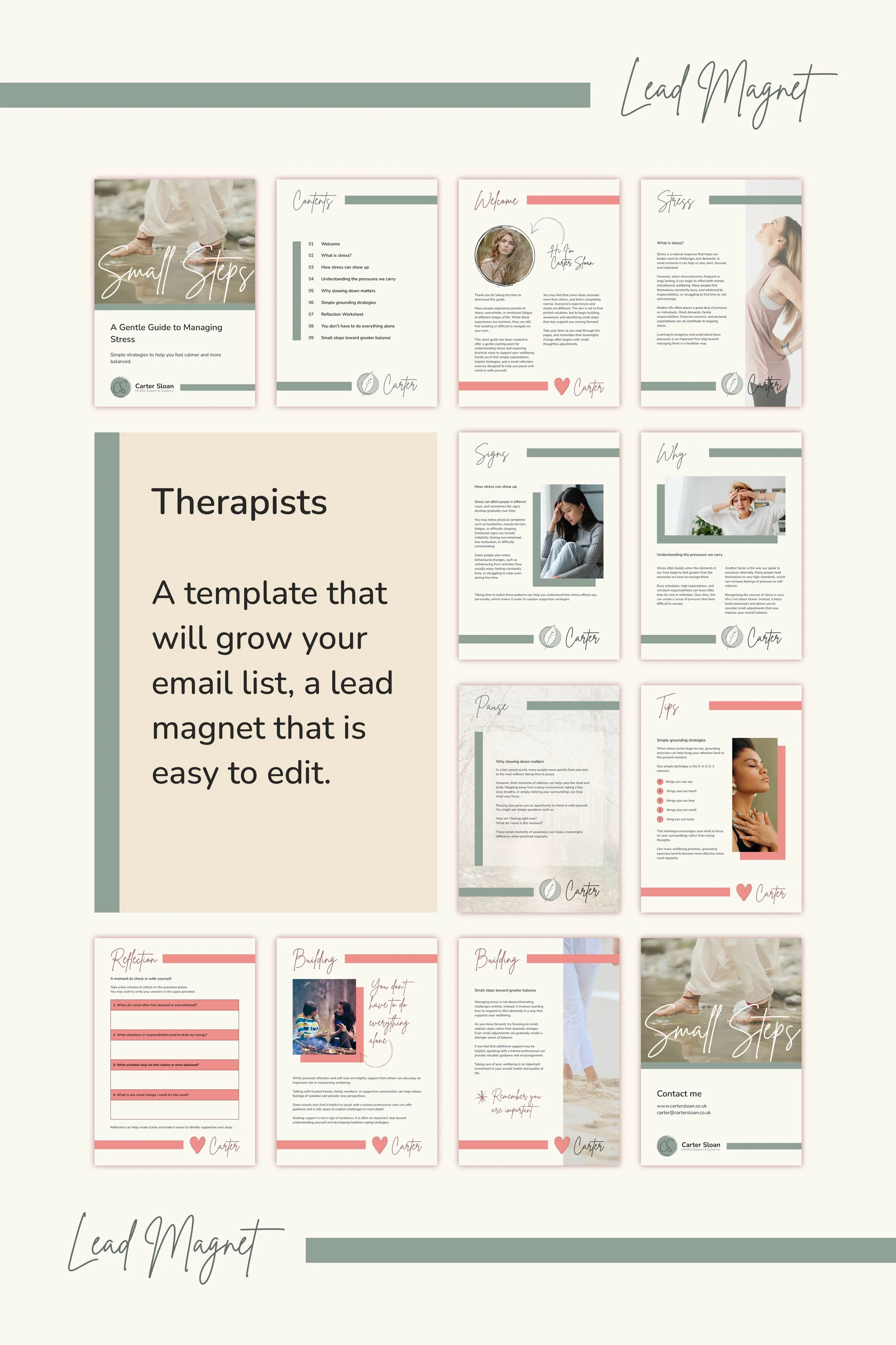 Lead Magnet-01.jpg (Copy)