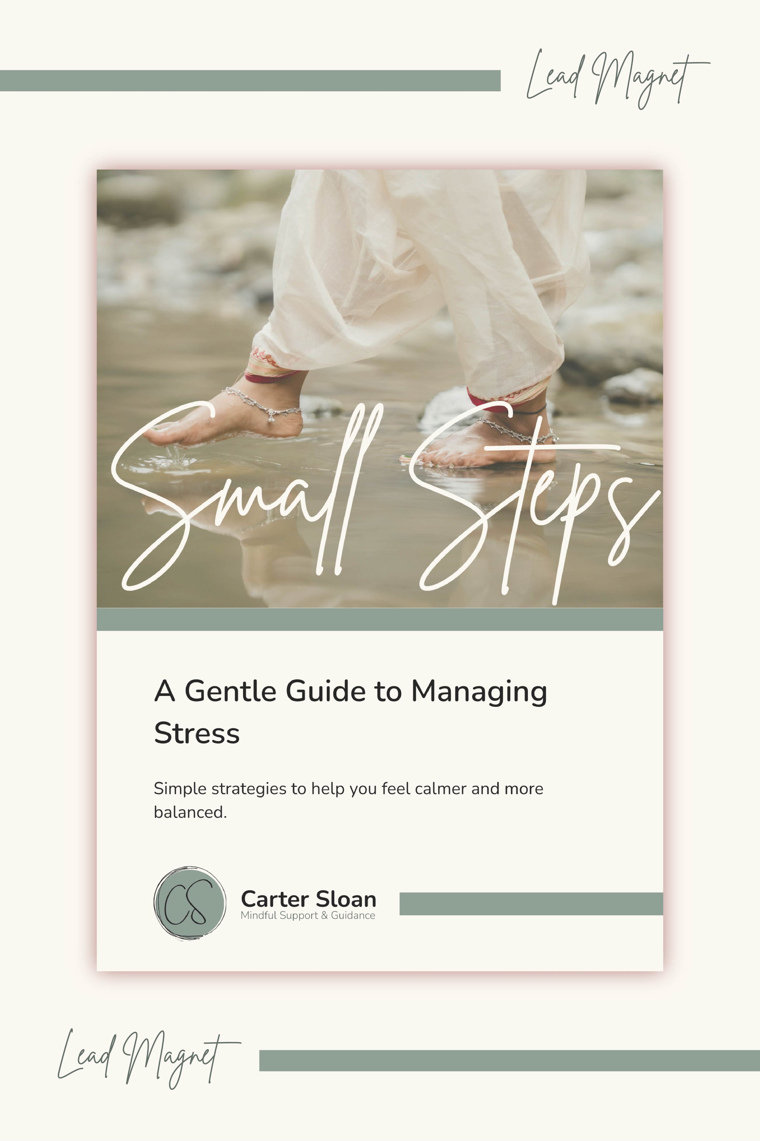 Lead Magnet-02.jpg (Copy)