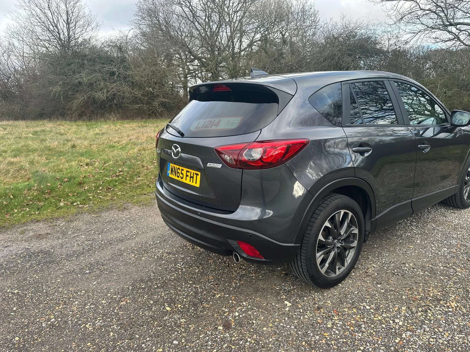 WhatsApp Image 2026-02-01 at 11.40.14 (17).jpeg