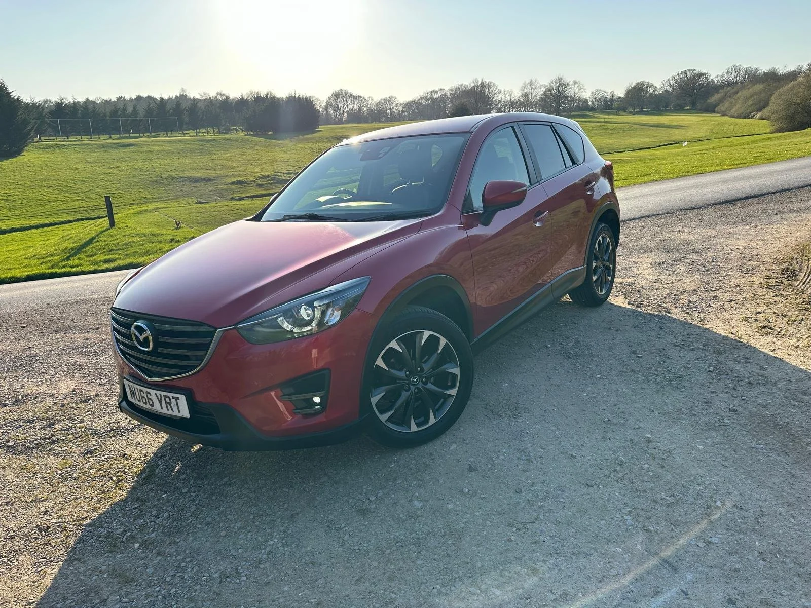 WhatsApp Image 2026-03-19 at 17.05.56 (8).jpeg