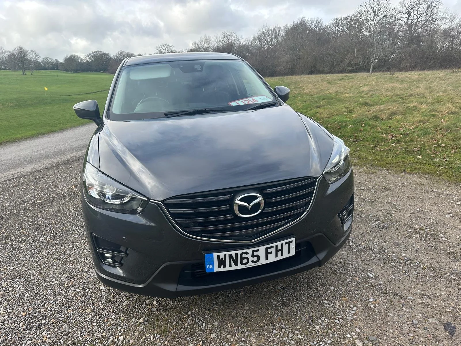 WhatsApp Image 2026-02-01 at 11.40.14 (8).jpeg