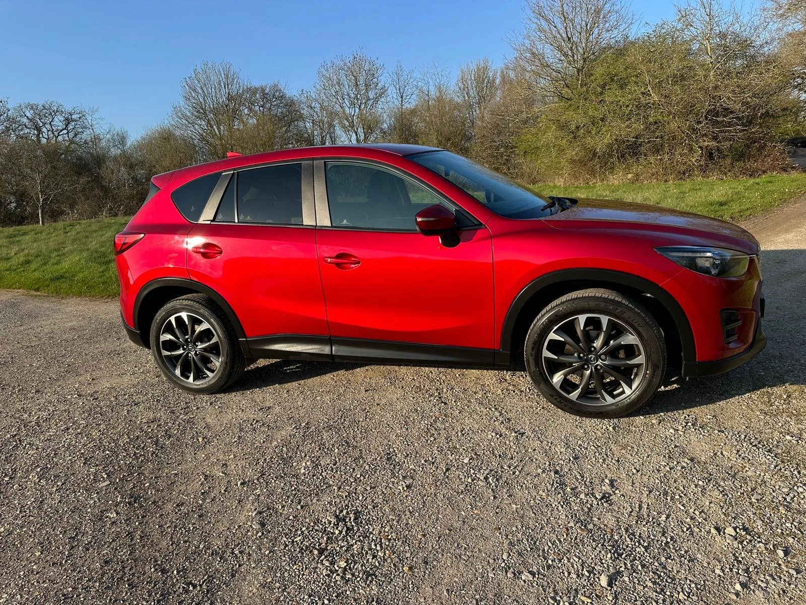 WhatsApp Image 2026-03-19 at 17.05.56 (4).jpeg