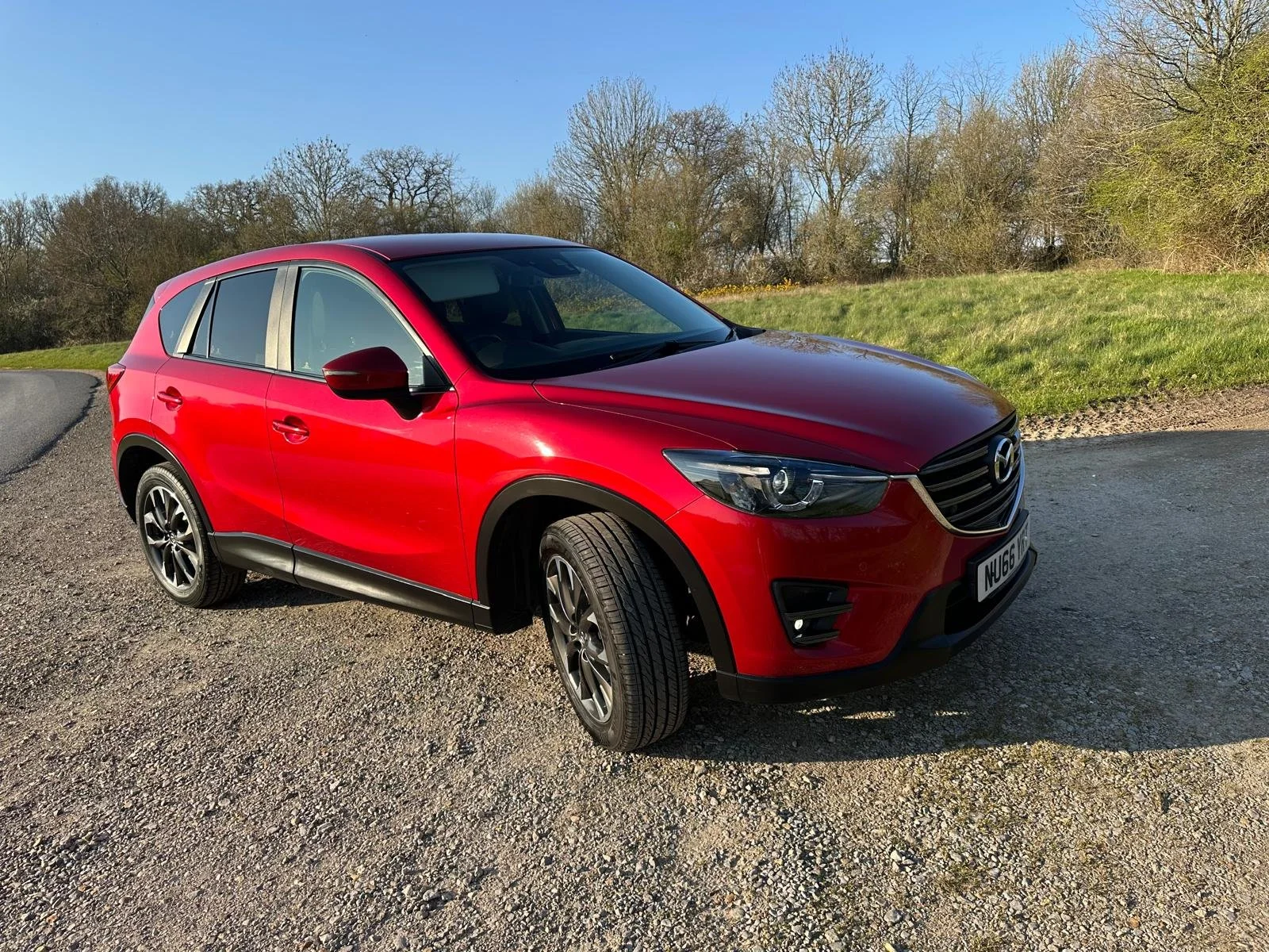 WhatsApp Image 2026-03-19 at 17.05.56 (6).jpeg