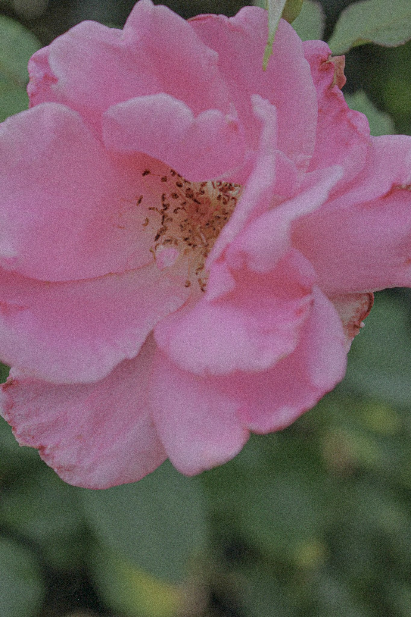 6a9cb2d09becc9ec4ffd9d5f0c0e6b61.jpeg