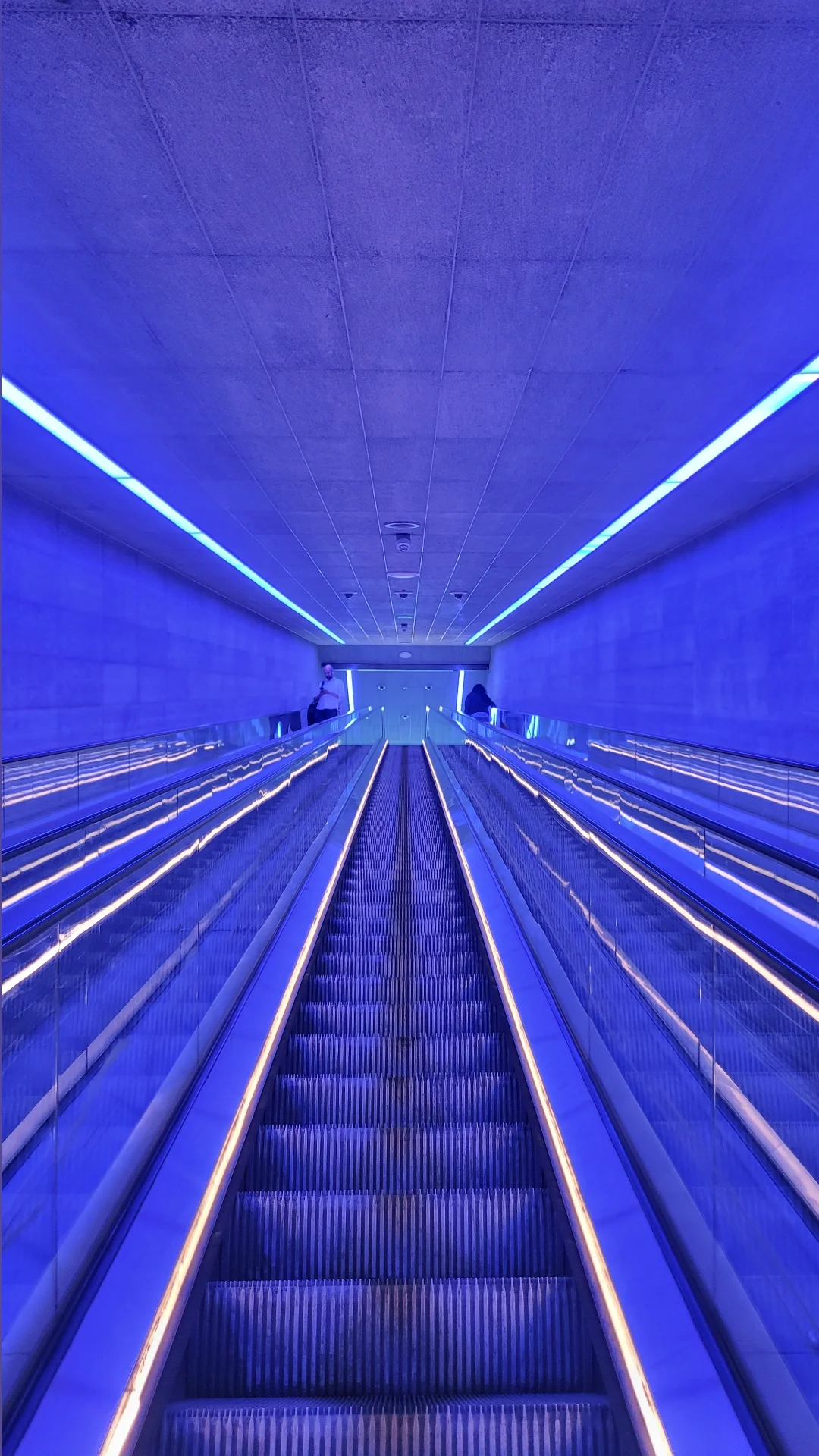 f couret København 2025 (4).webp