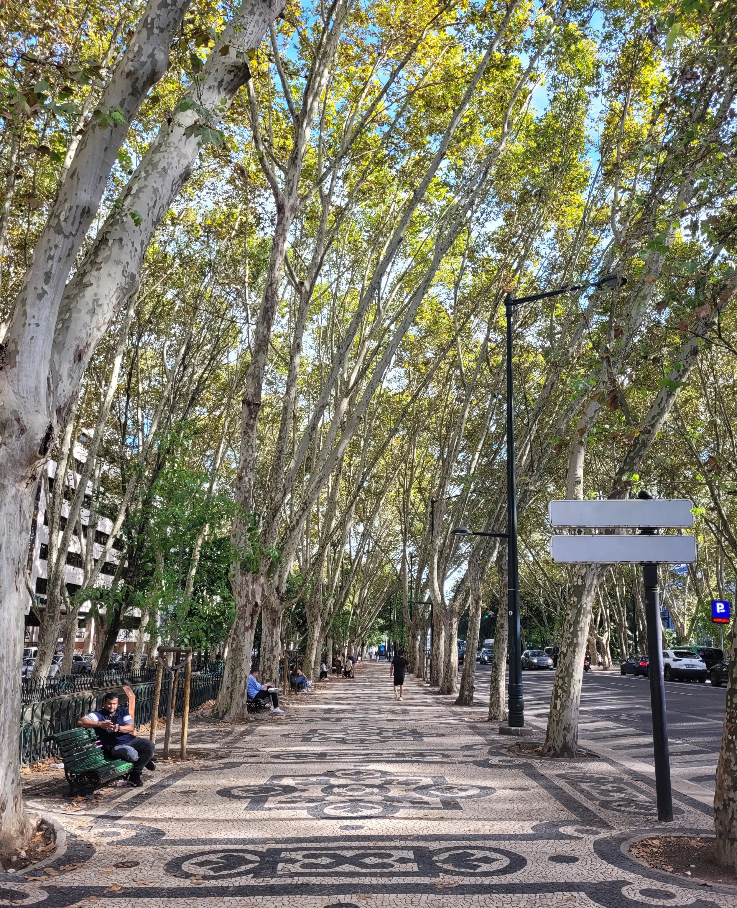 f couret ld portugal (11).jpg