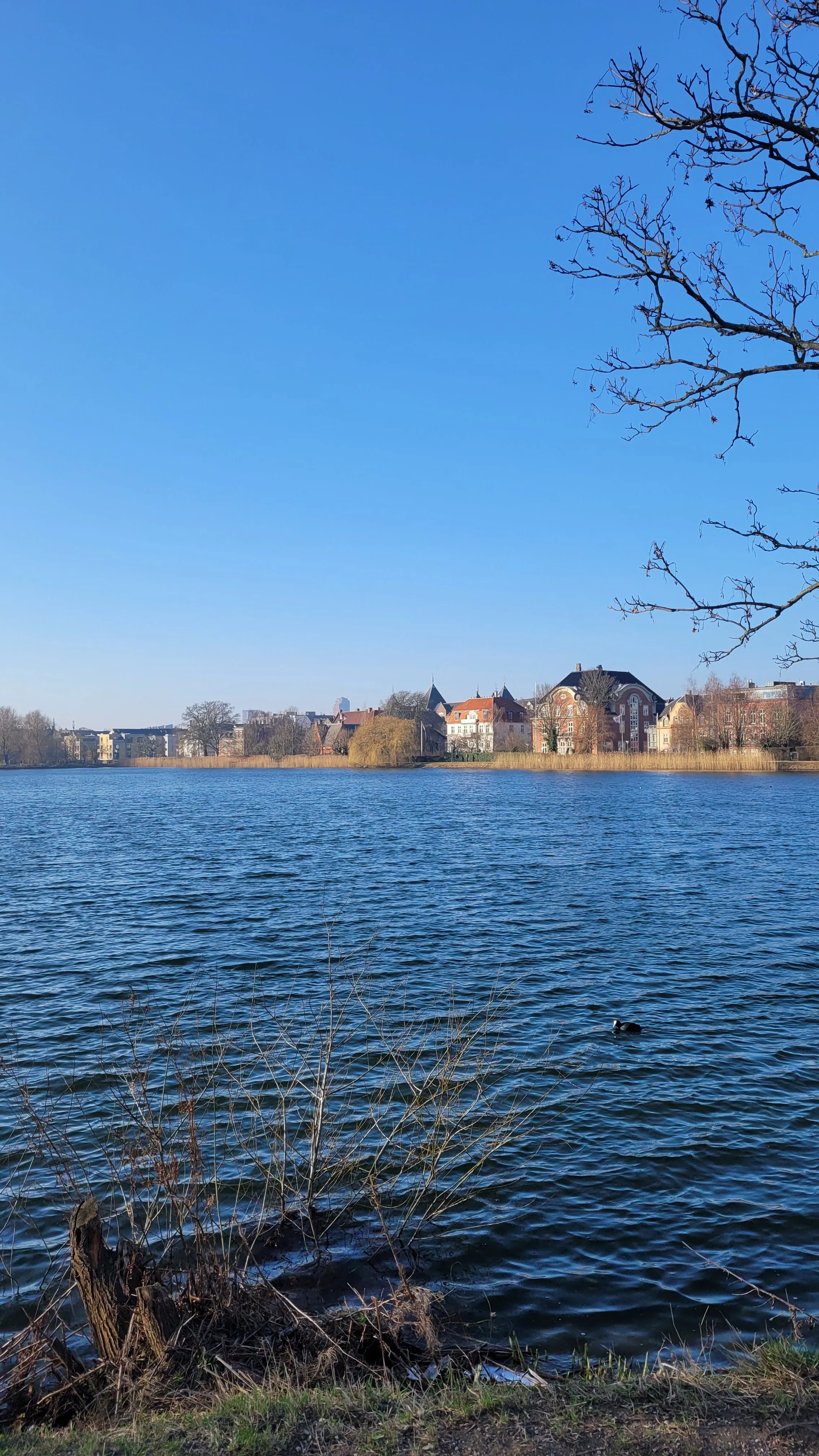 f couret København 2025 (22).jpg