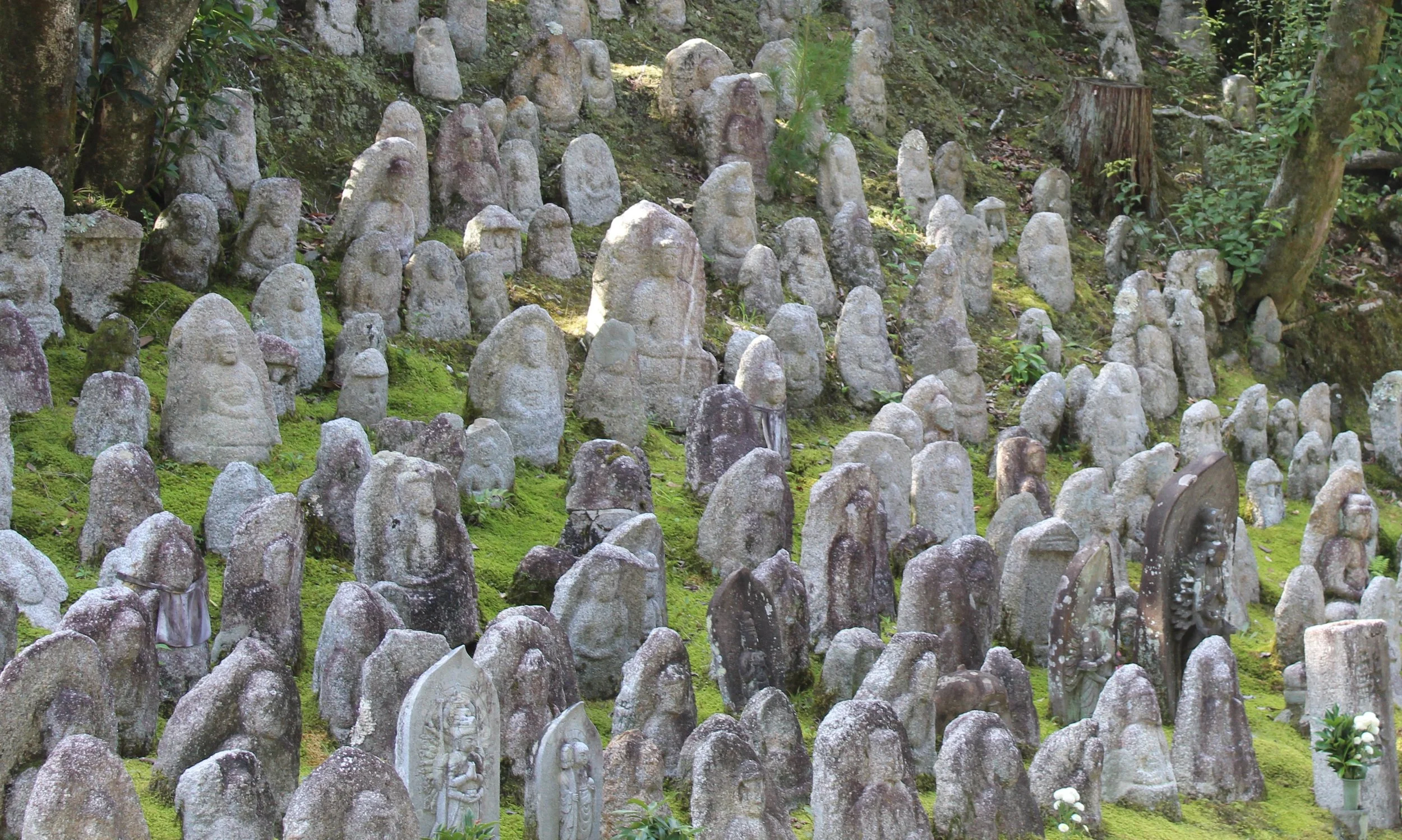 f couret phoography kyoto (20).JPG