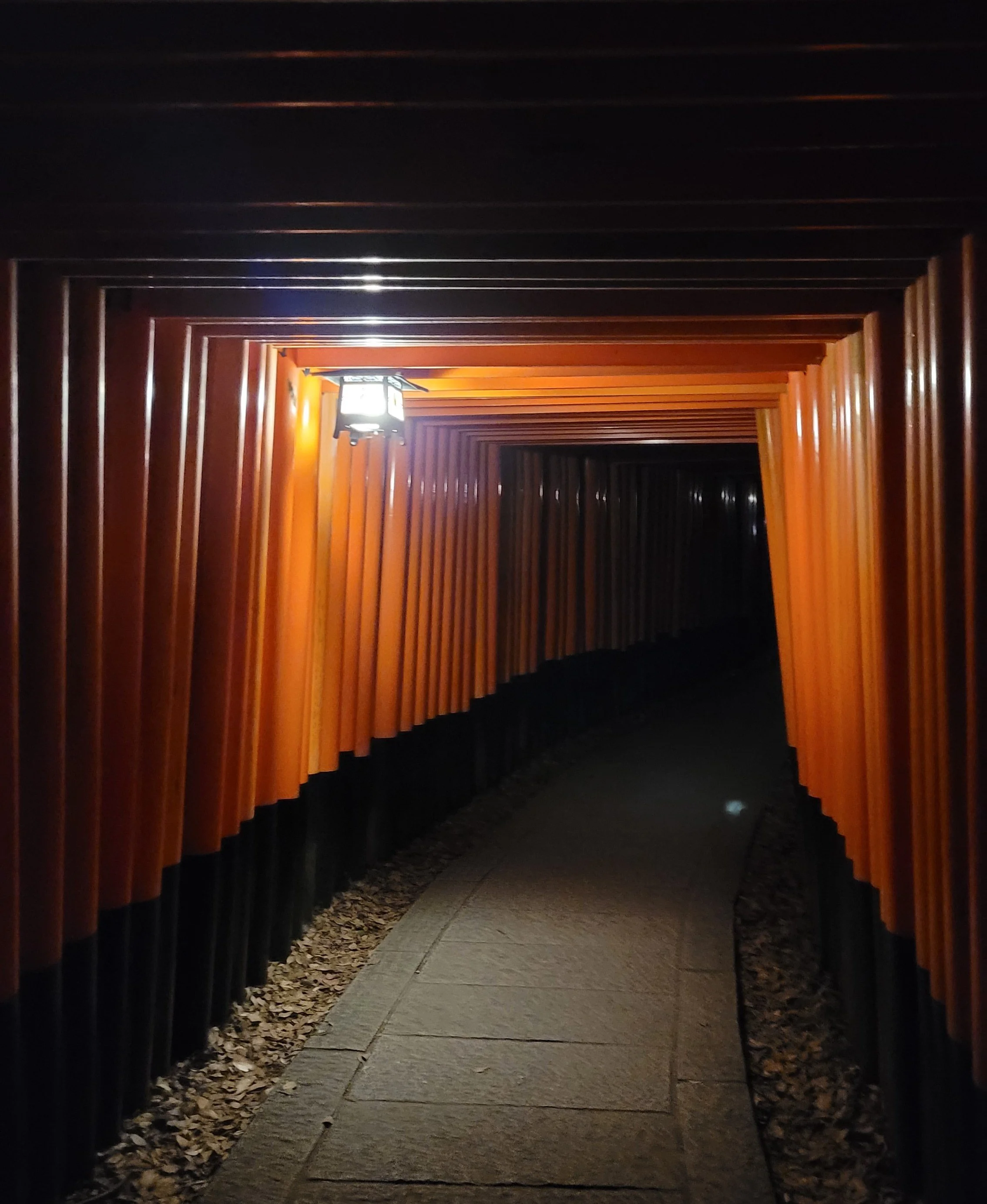 f couret phoography kyoto (5).jpg
