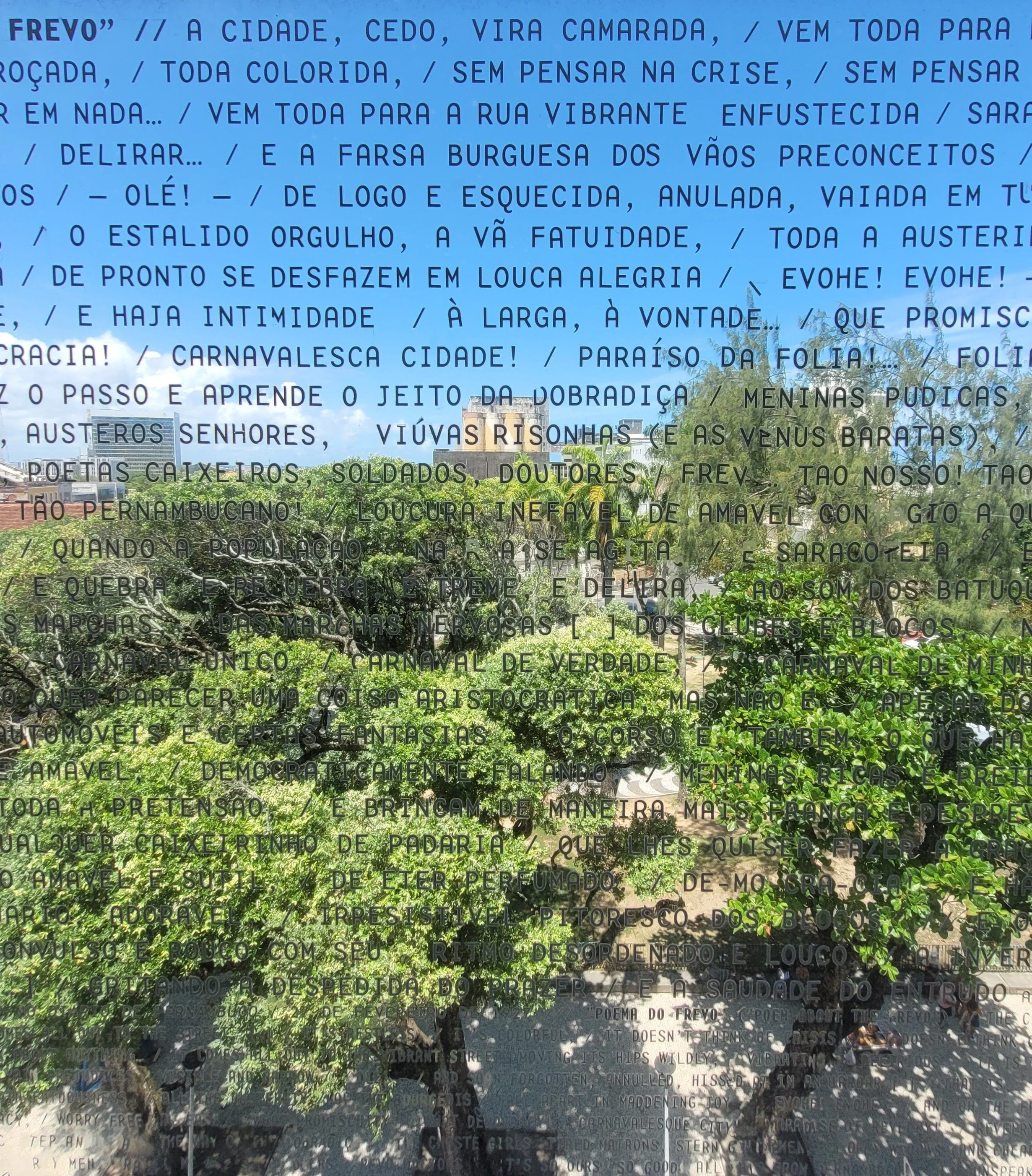 20230113_121600.jpg